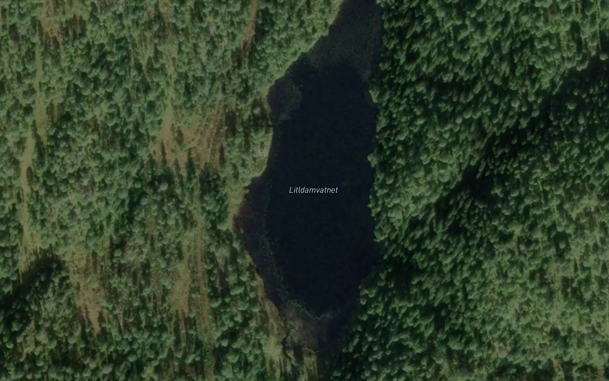 Damvatnet,l