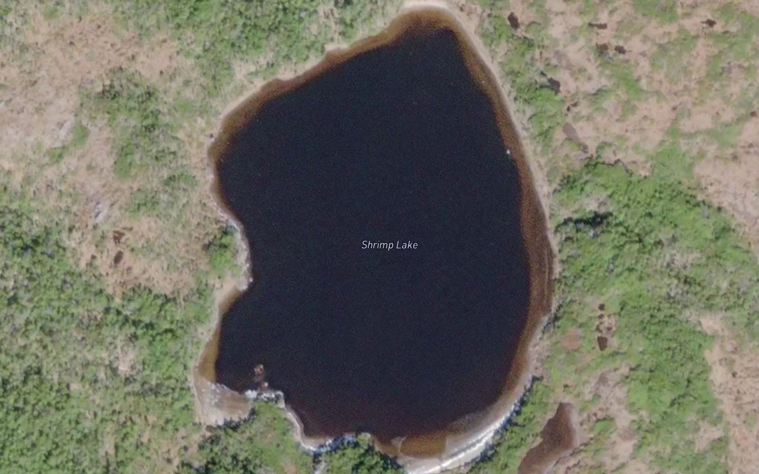 Shrimp Lake