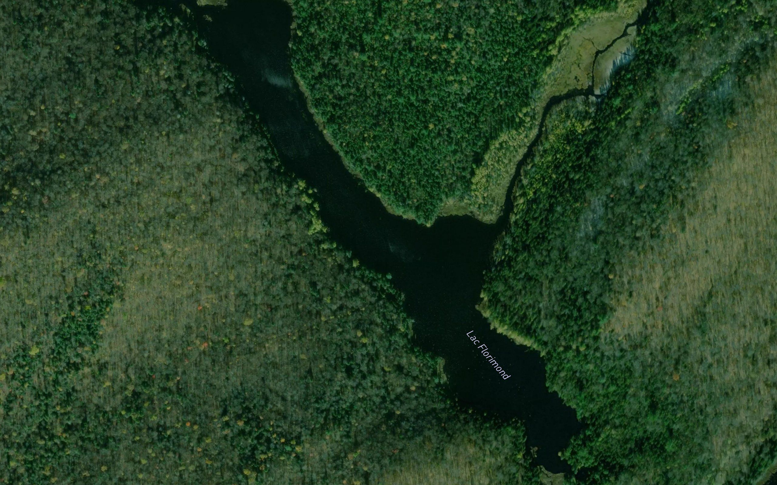 Lac Florimond