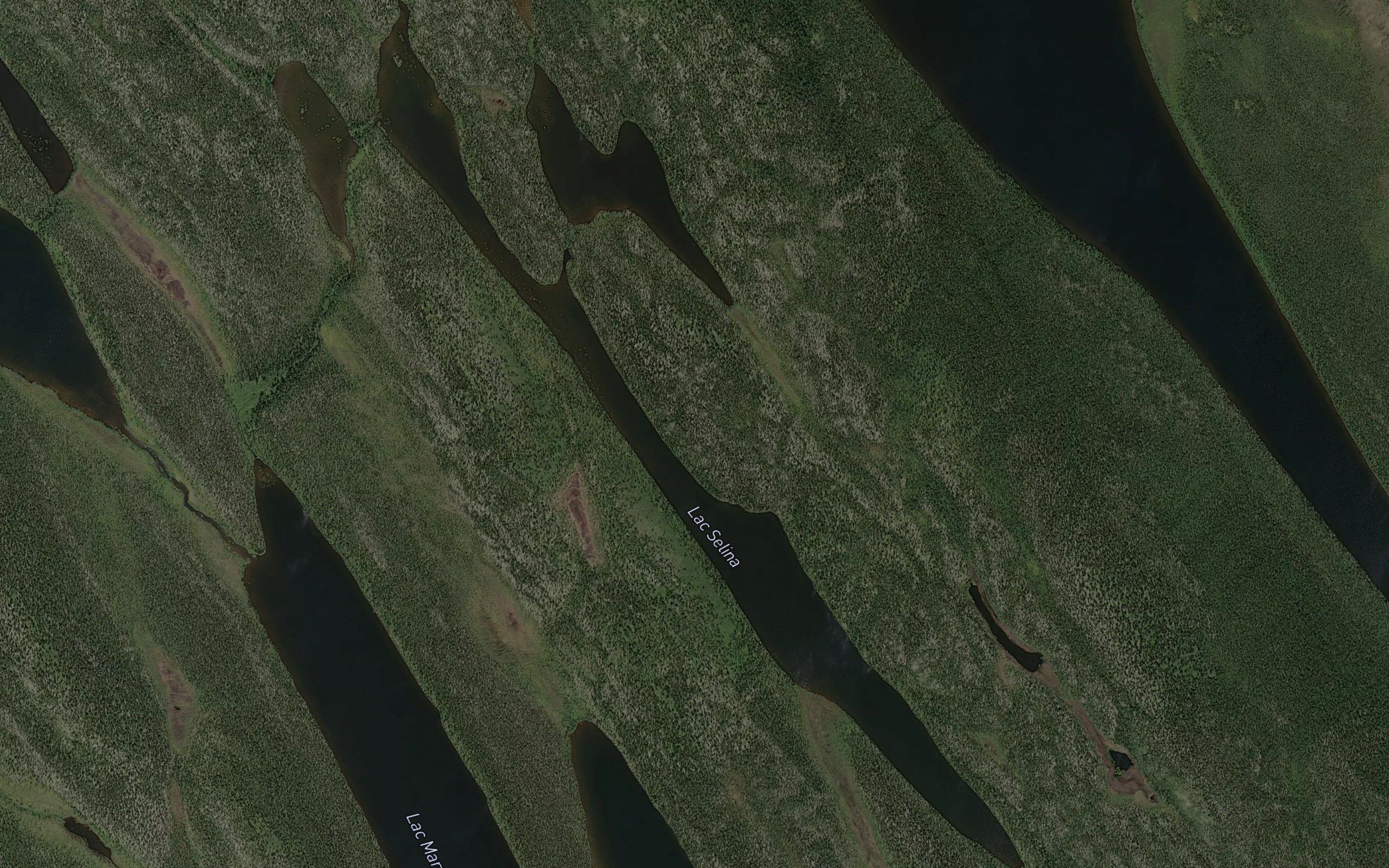 Lac Selina