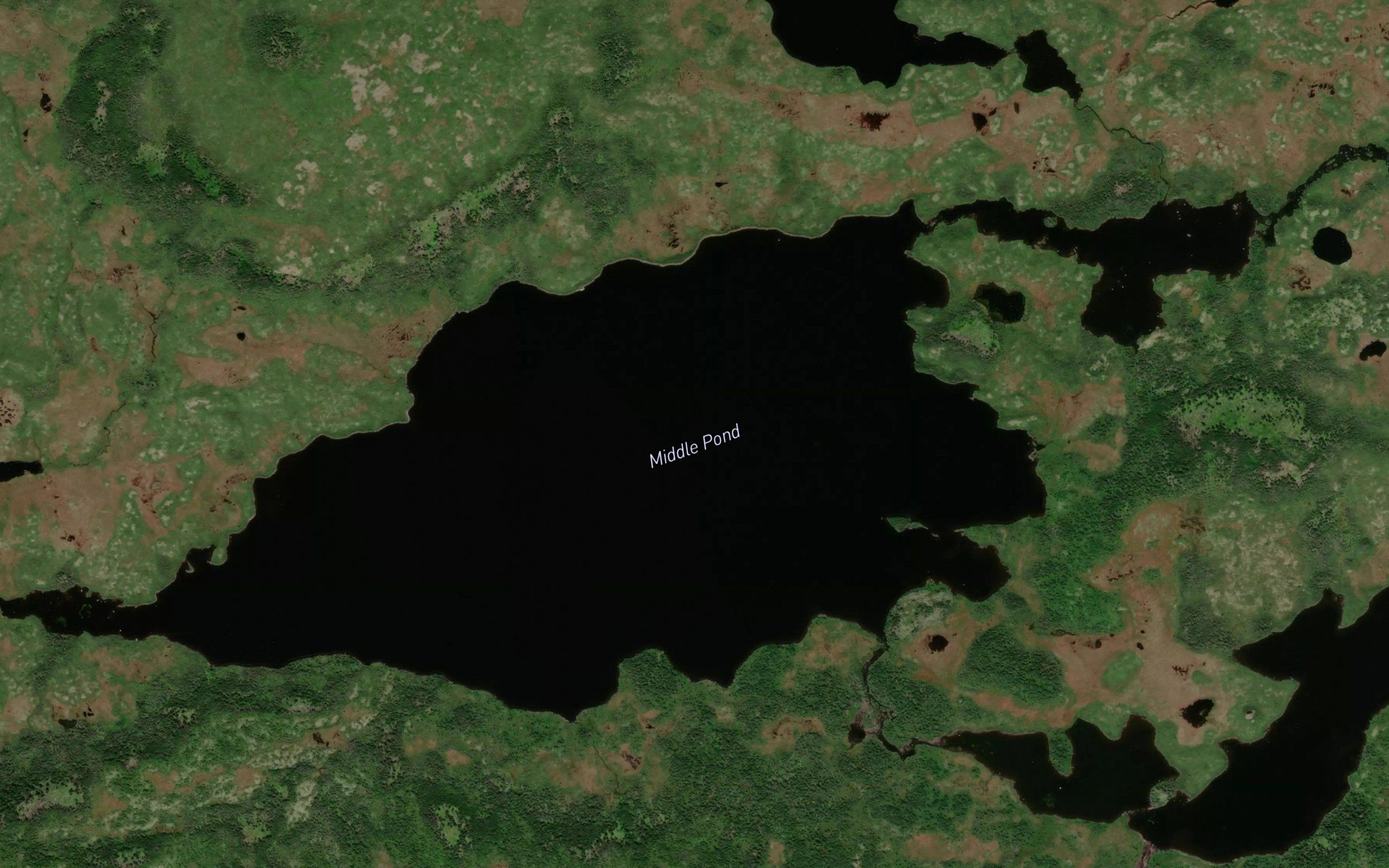 Middle Pond