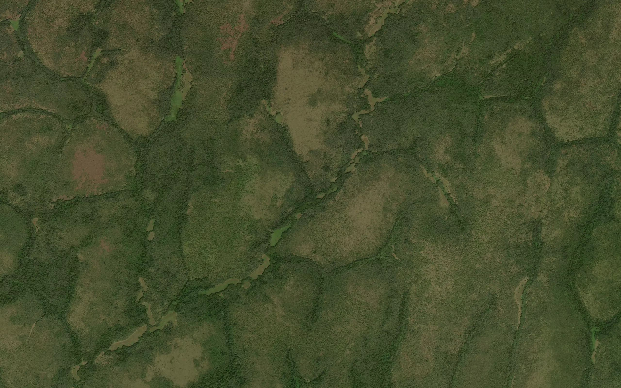 Nangwoli