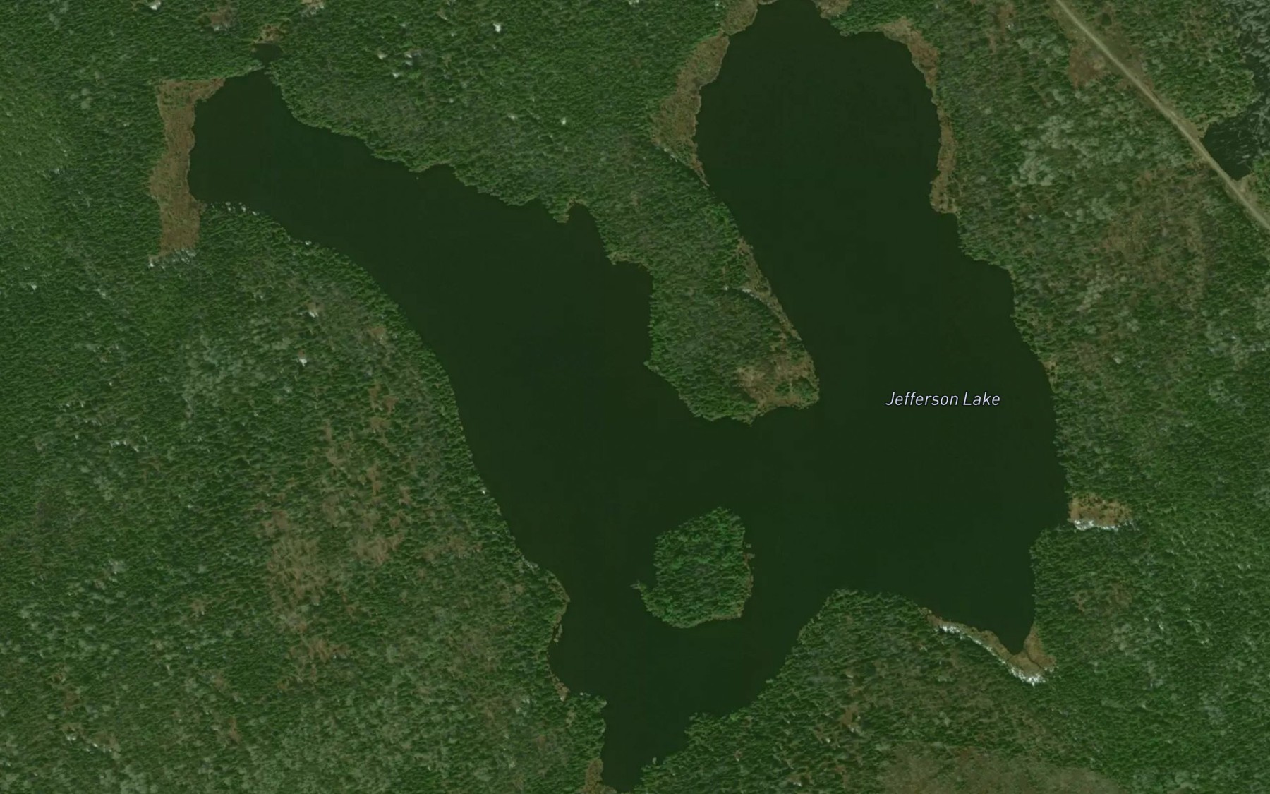 Satellite map of the Jefferson Lake