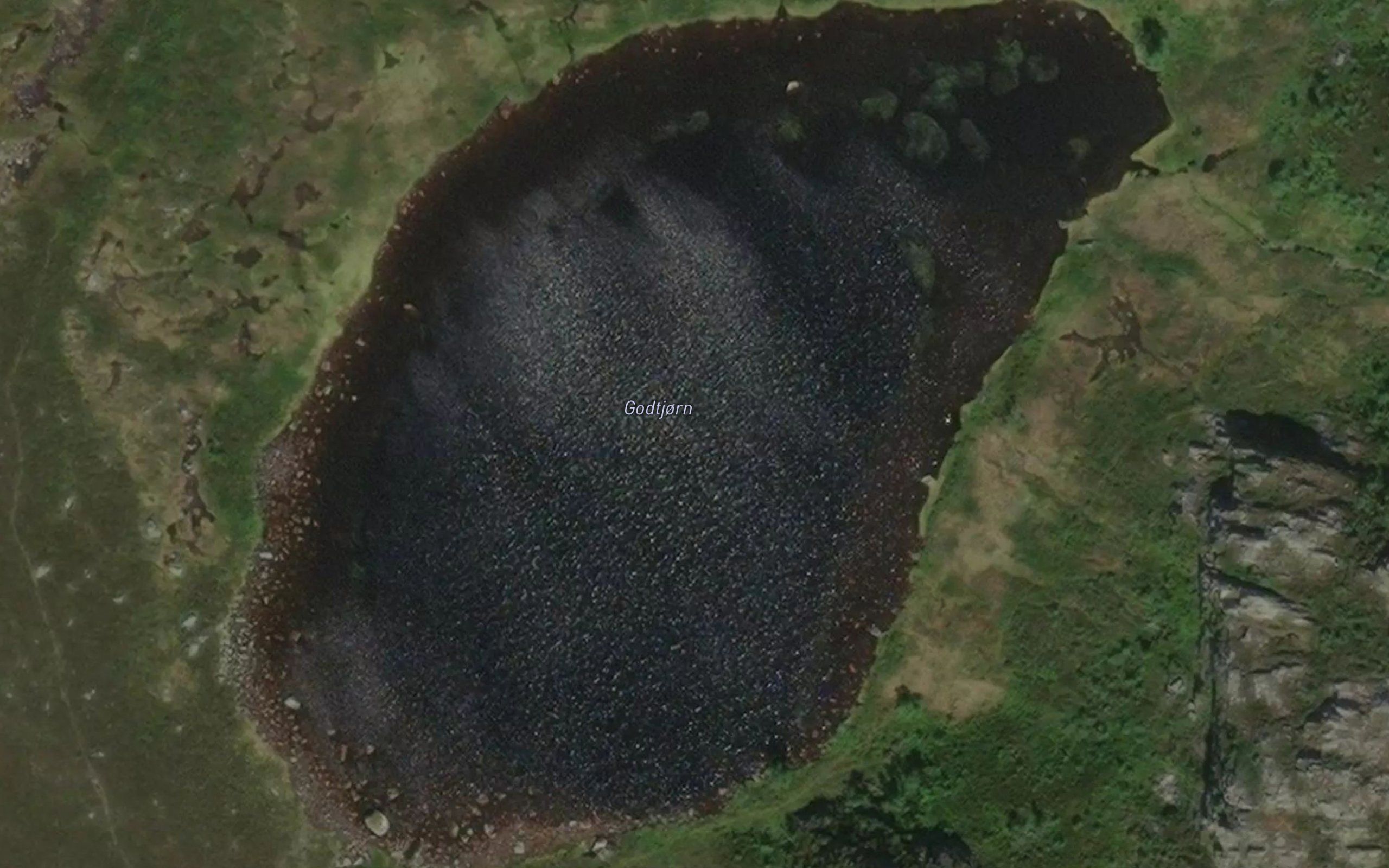 Godtjorn