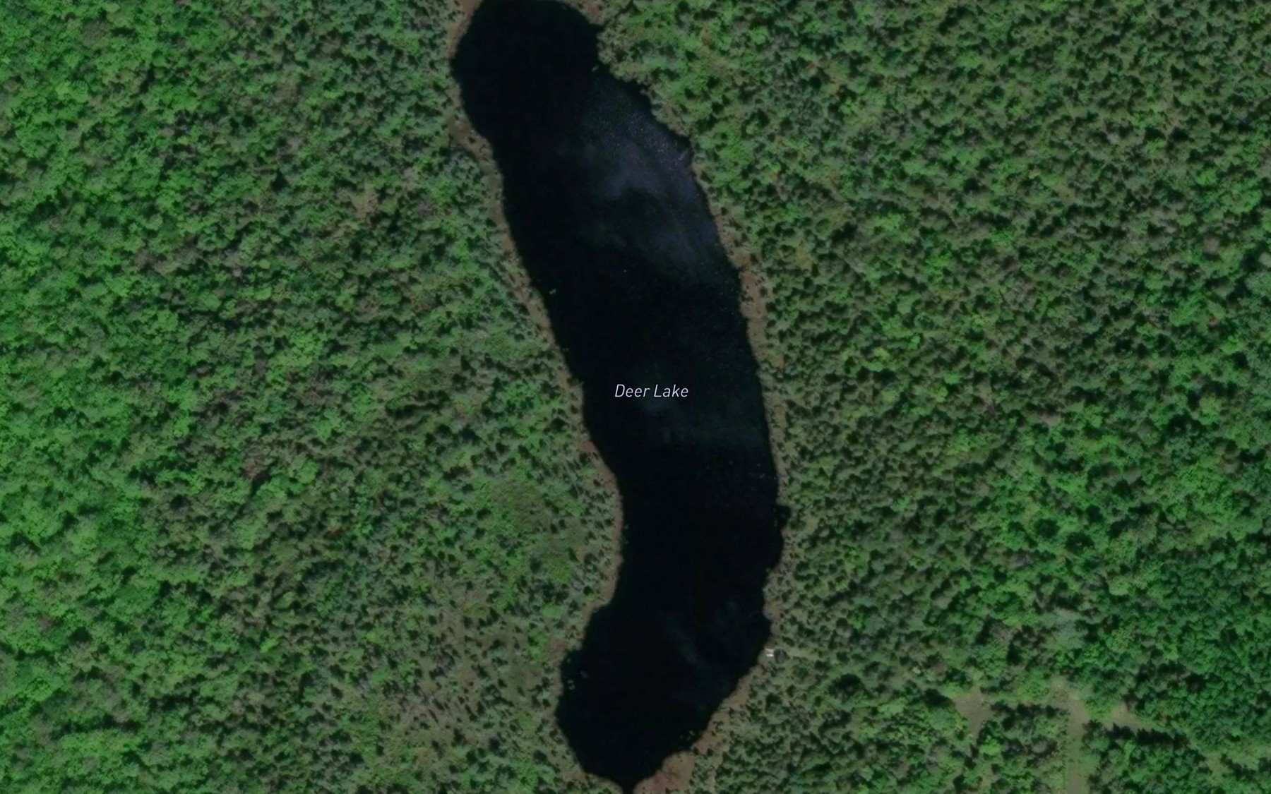 Satellite map of the Deer Lake