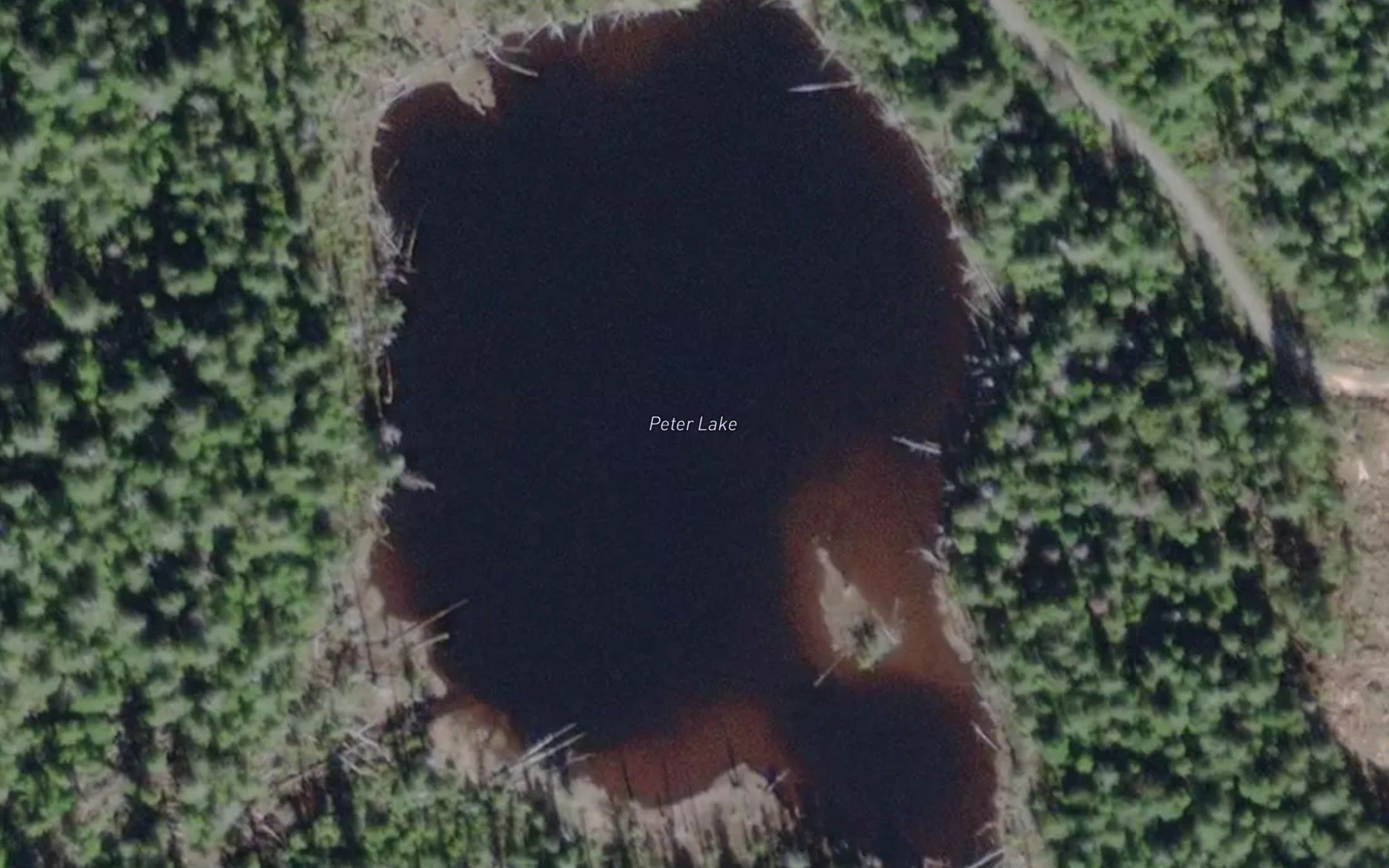 Peter Lake