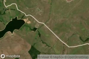 Coronilla Chico Arroyo