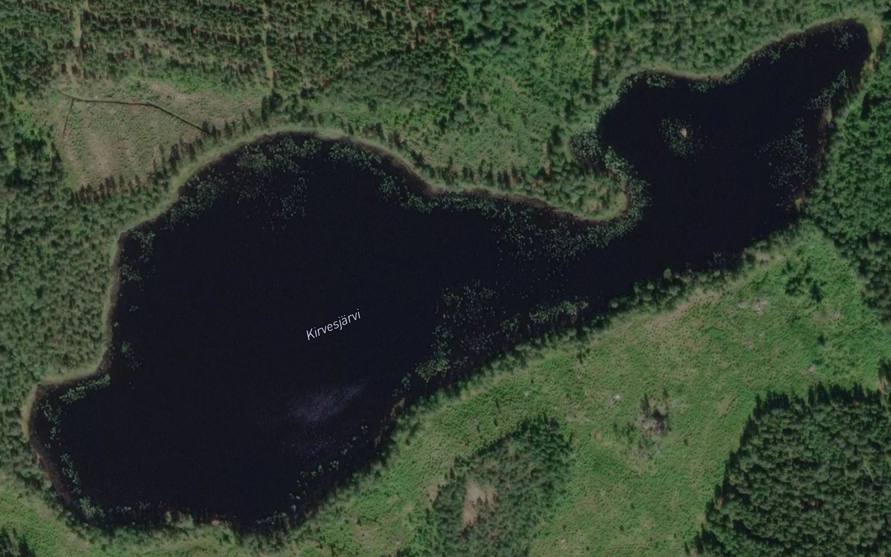 Satellite map of the Kirvesjarvi