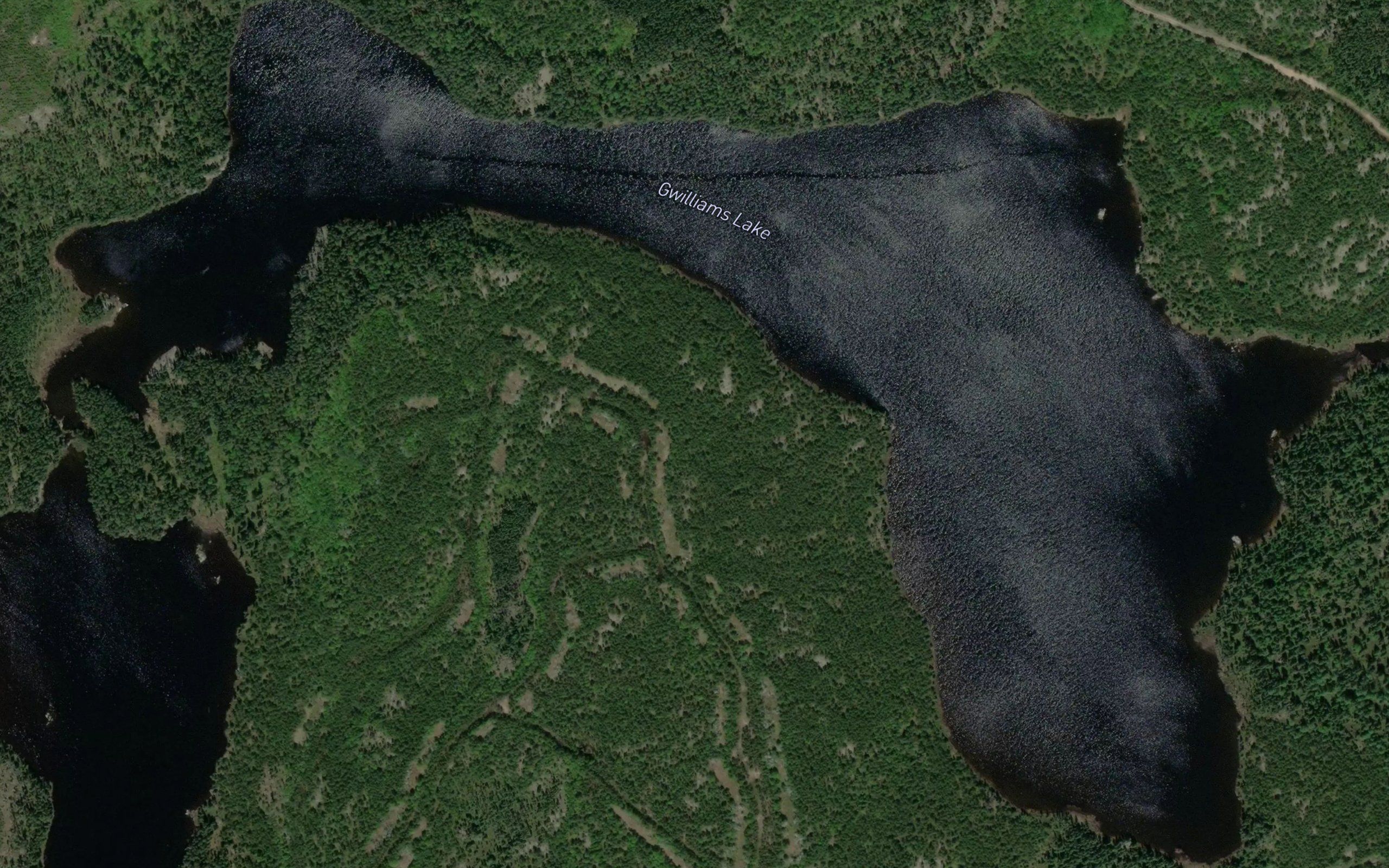 Gwilliams Lake