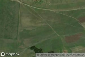 Ebogon