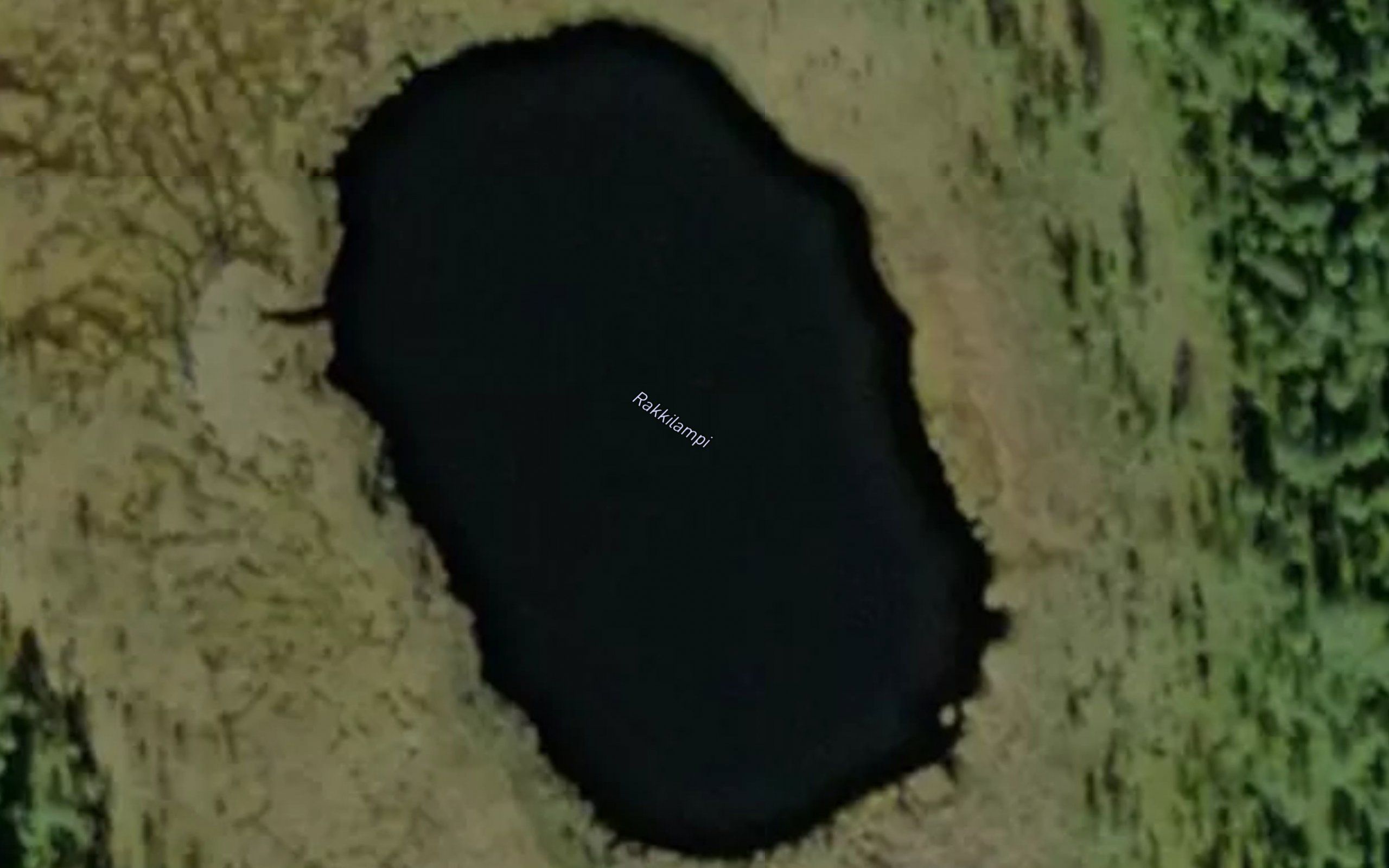 Rakkilampi