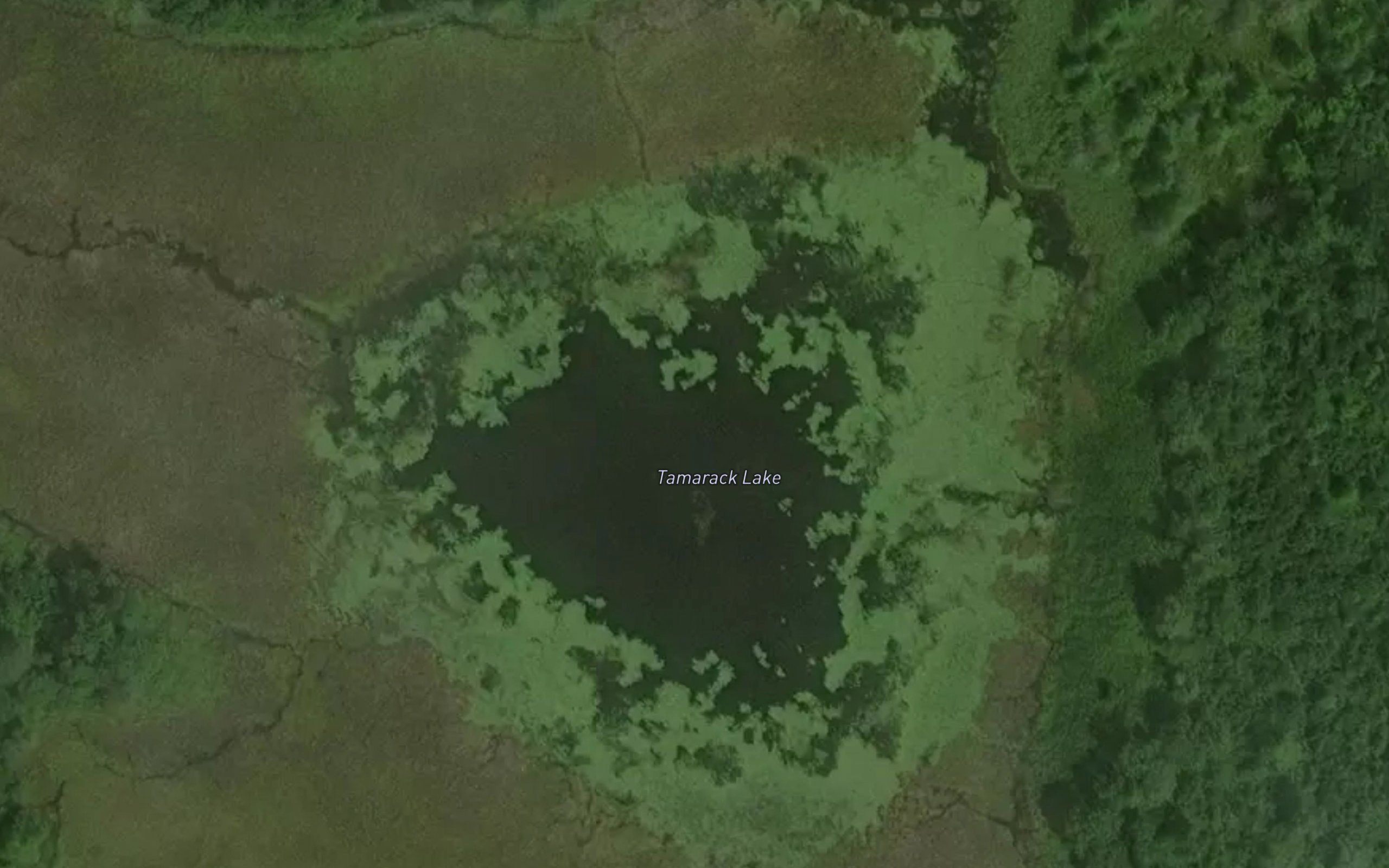 Tamarack Lake