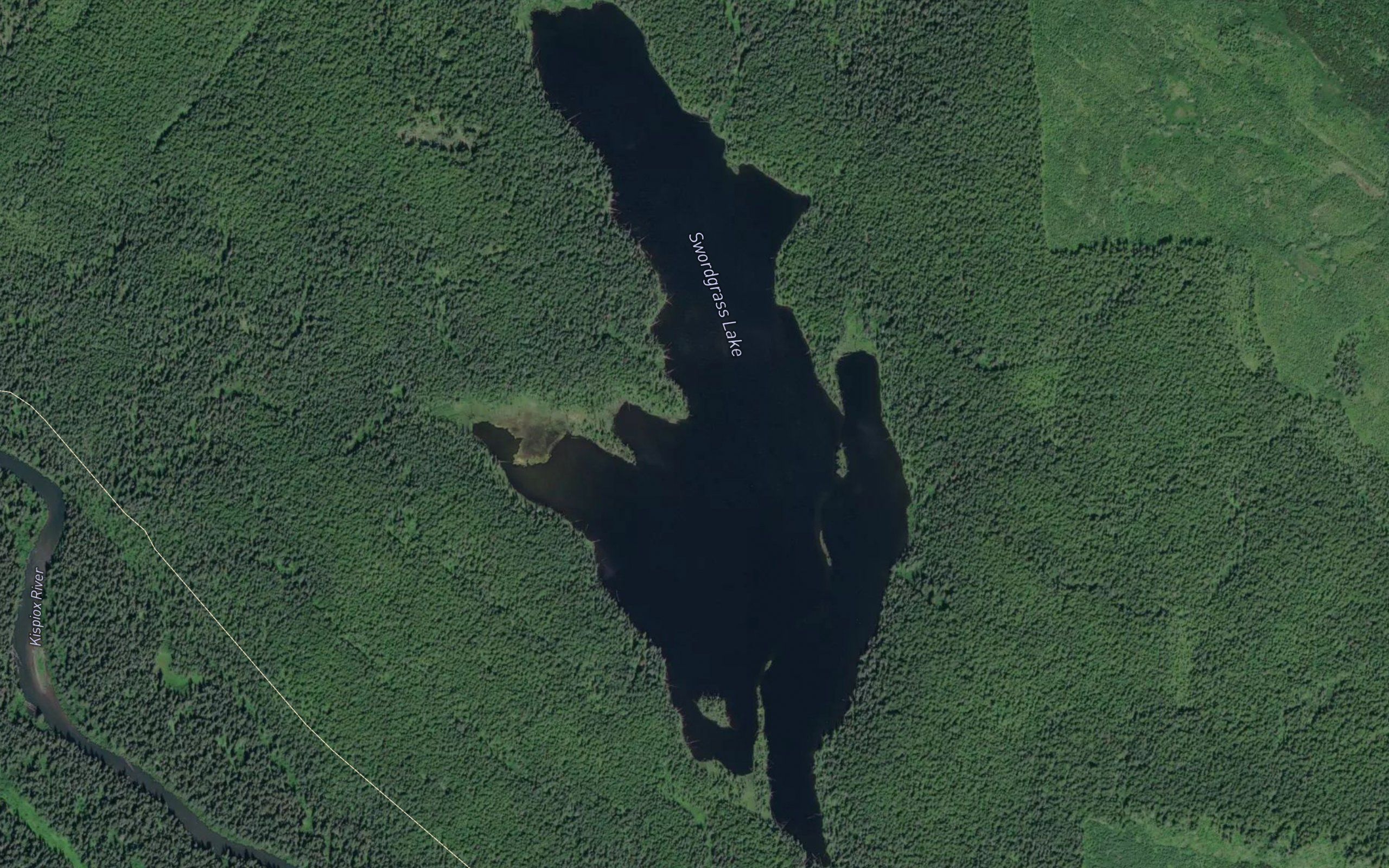 Swordgrass Lake