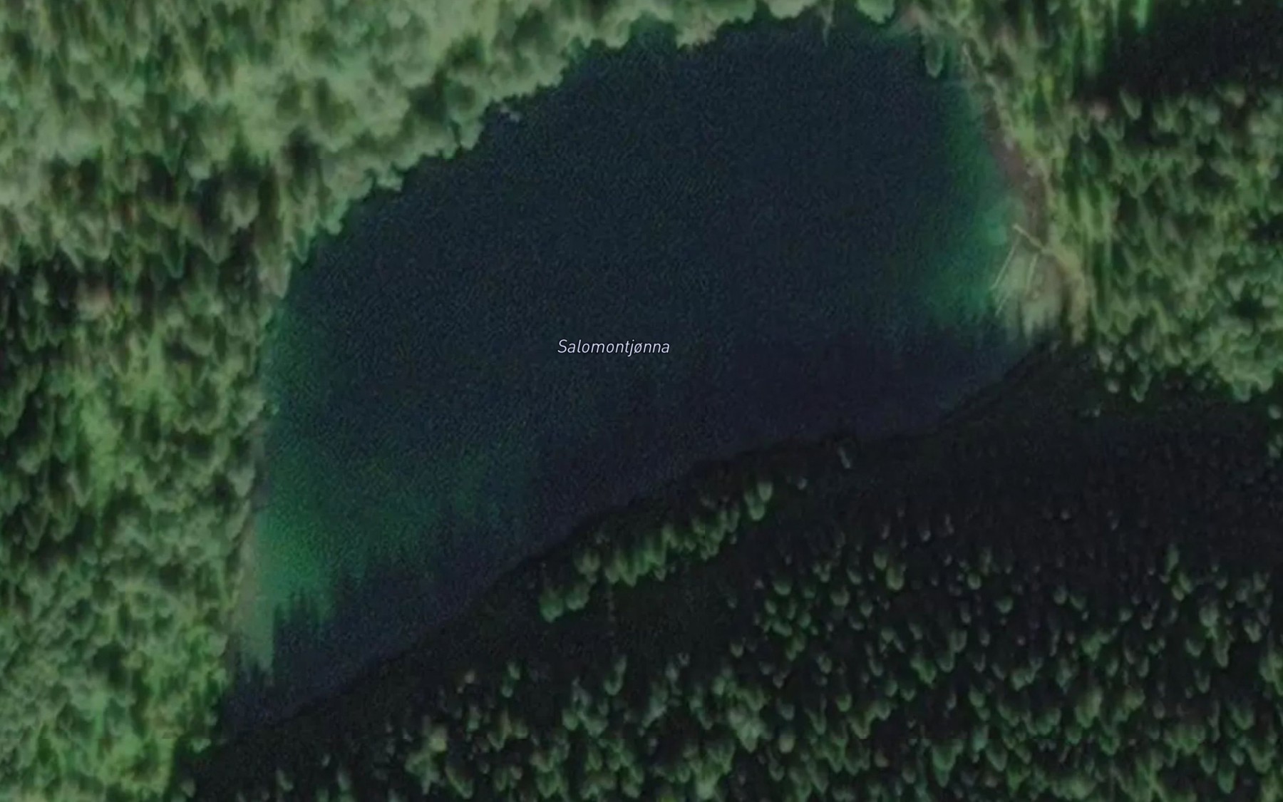 Satellite map of the Salomontjorna