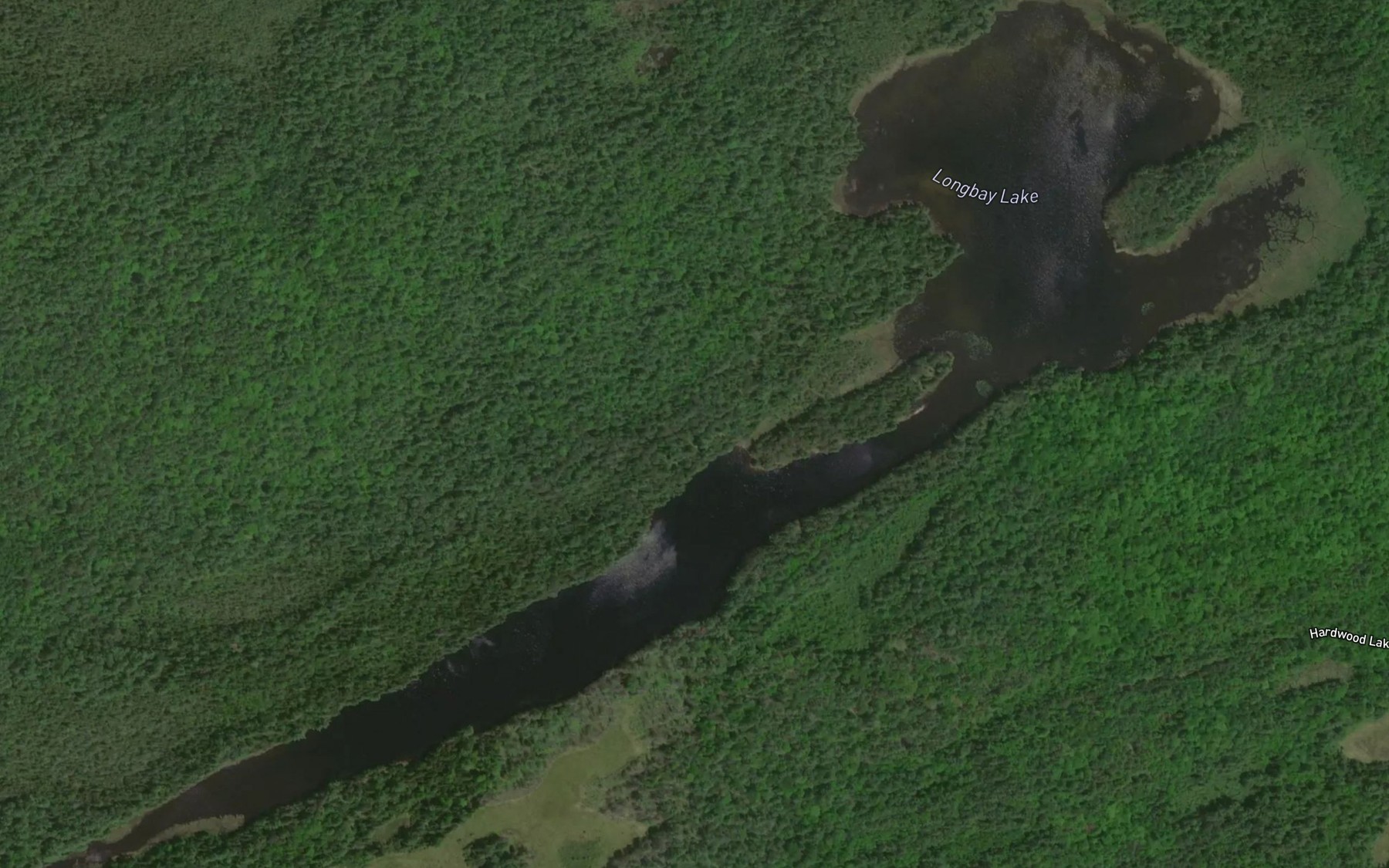 Satellite map of the Longbay Lake