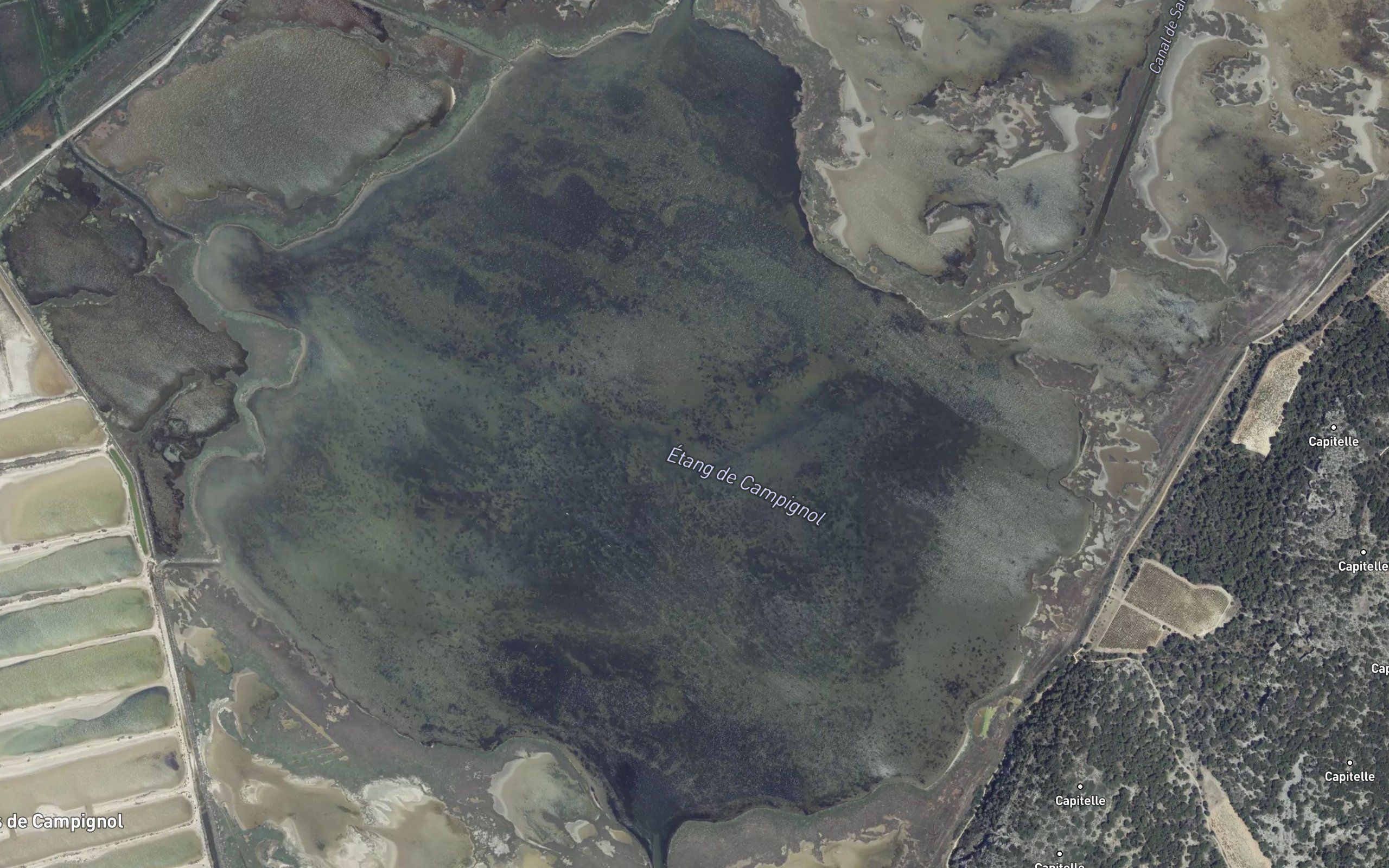 Etang de Campignol