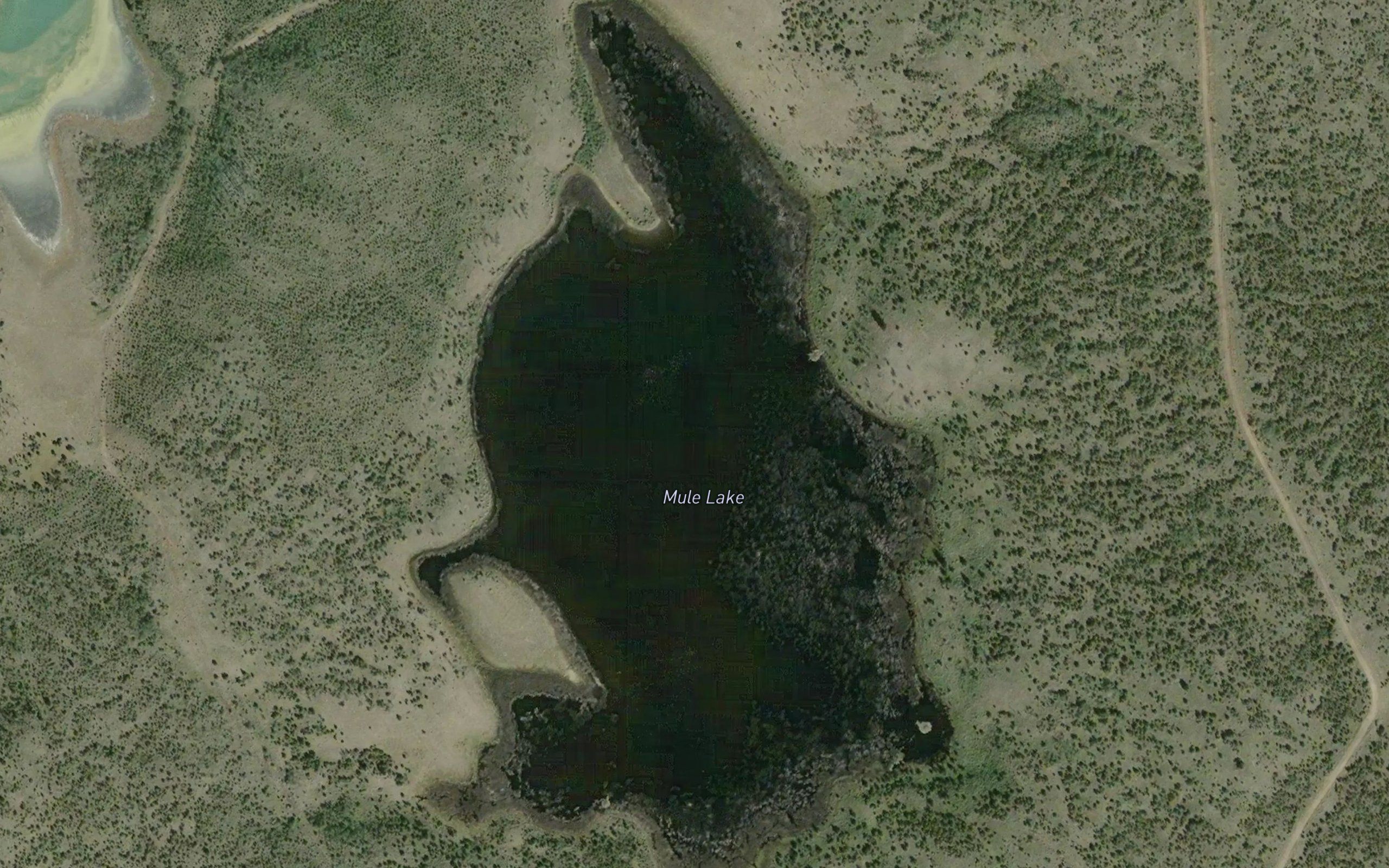 Mule Lake