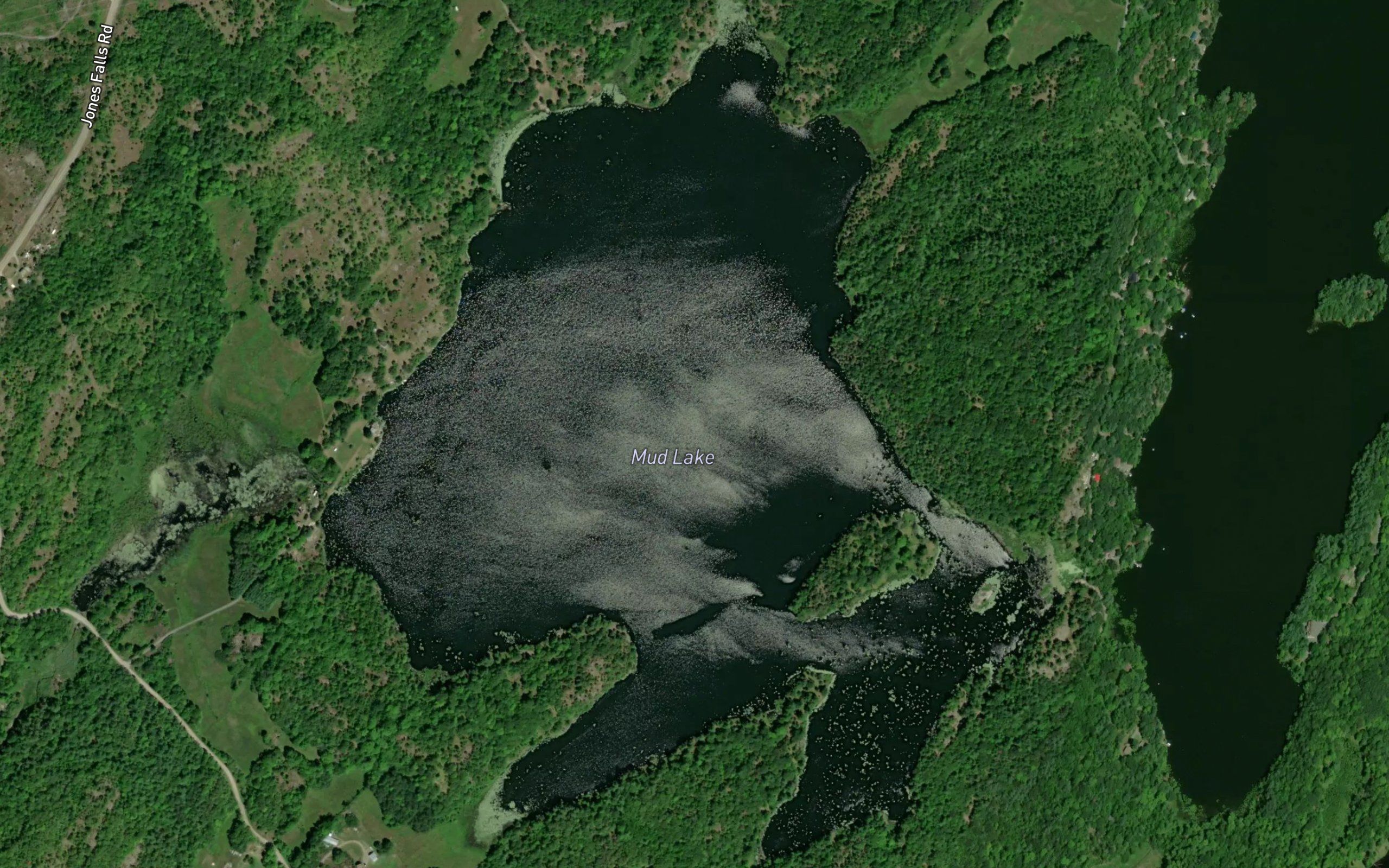 Mud Lake