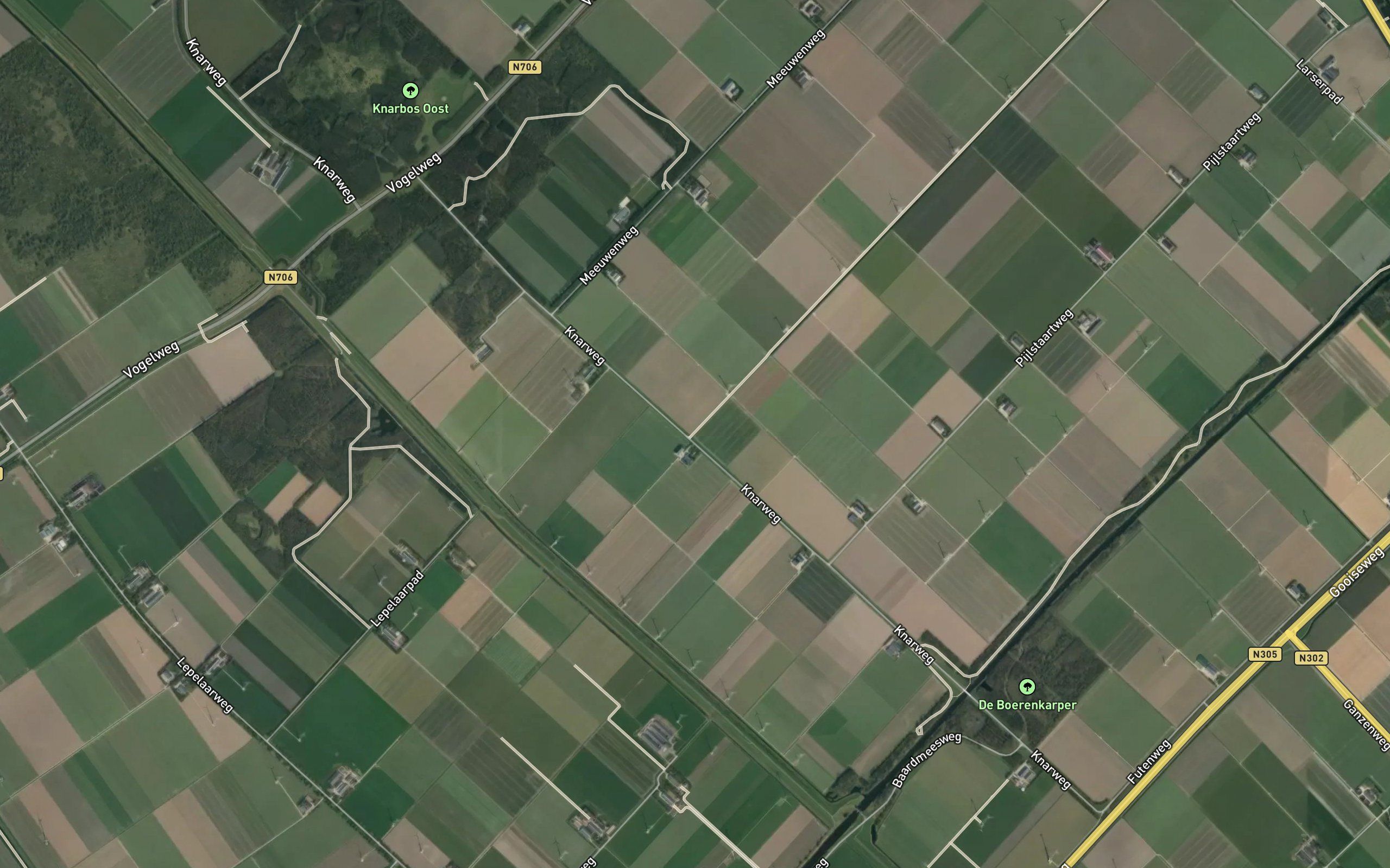 Meeuwentocht