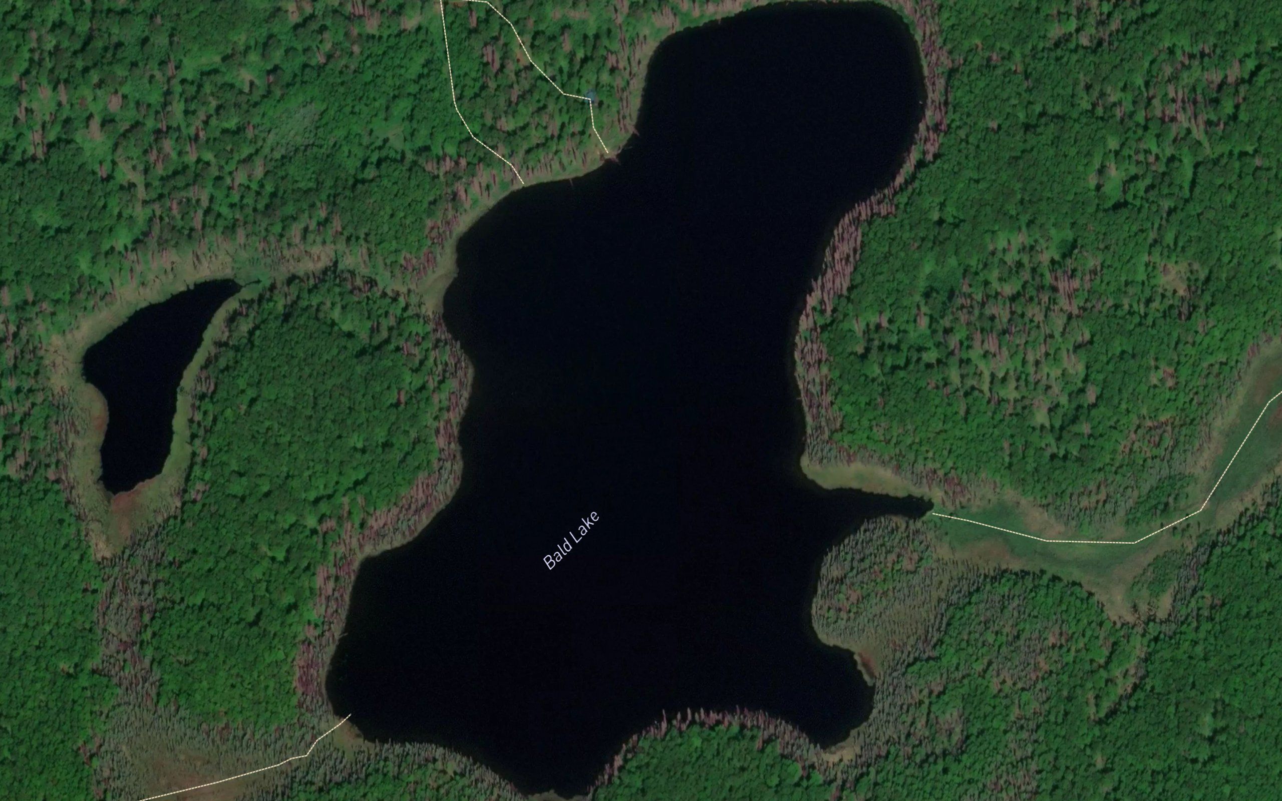 Bald Lake