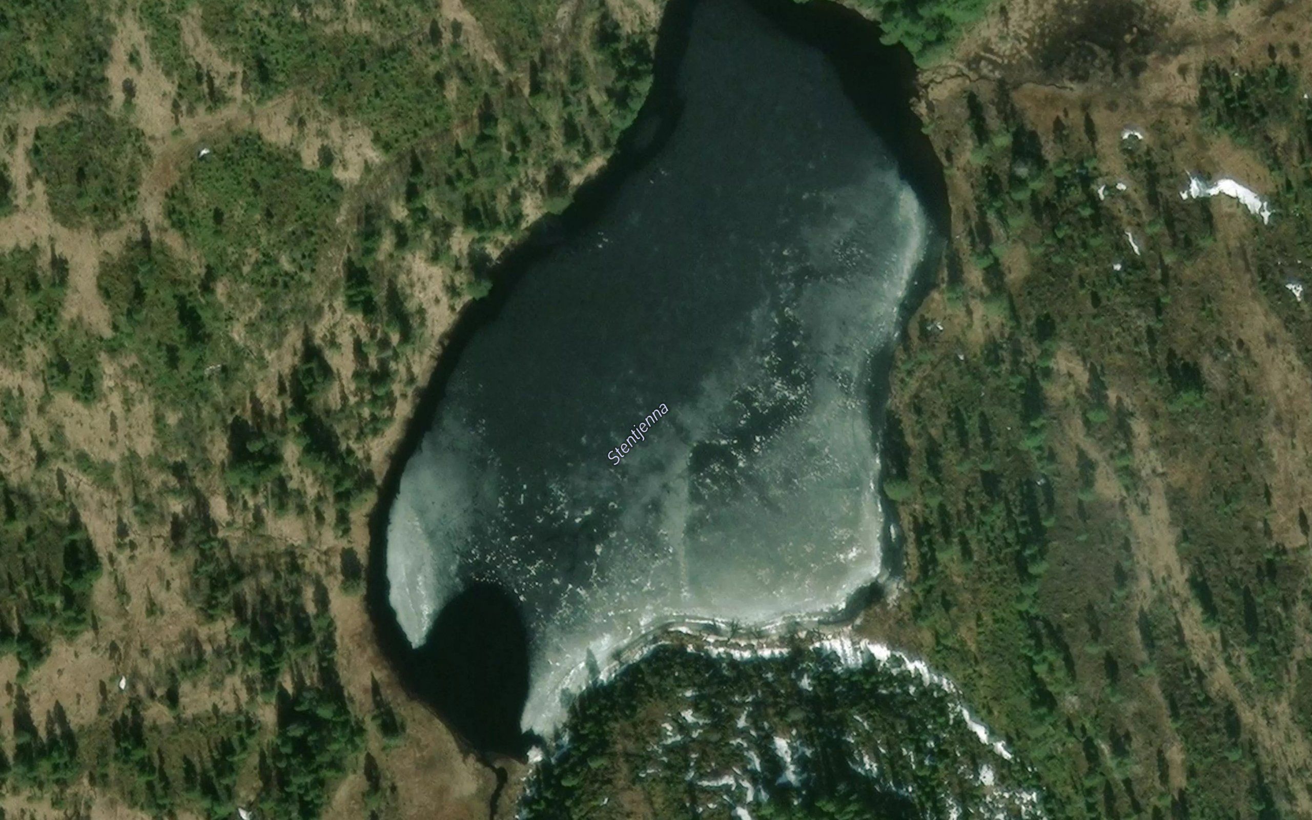 Steintjorna