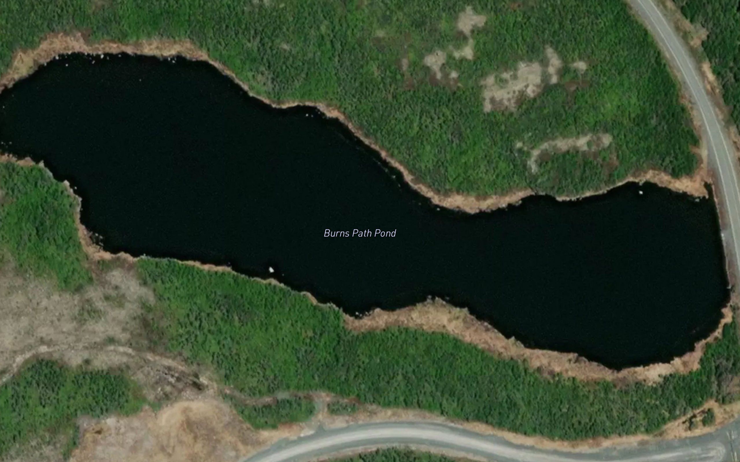 Burns Path Pond