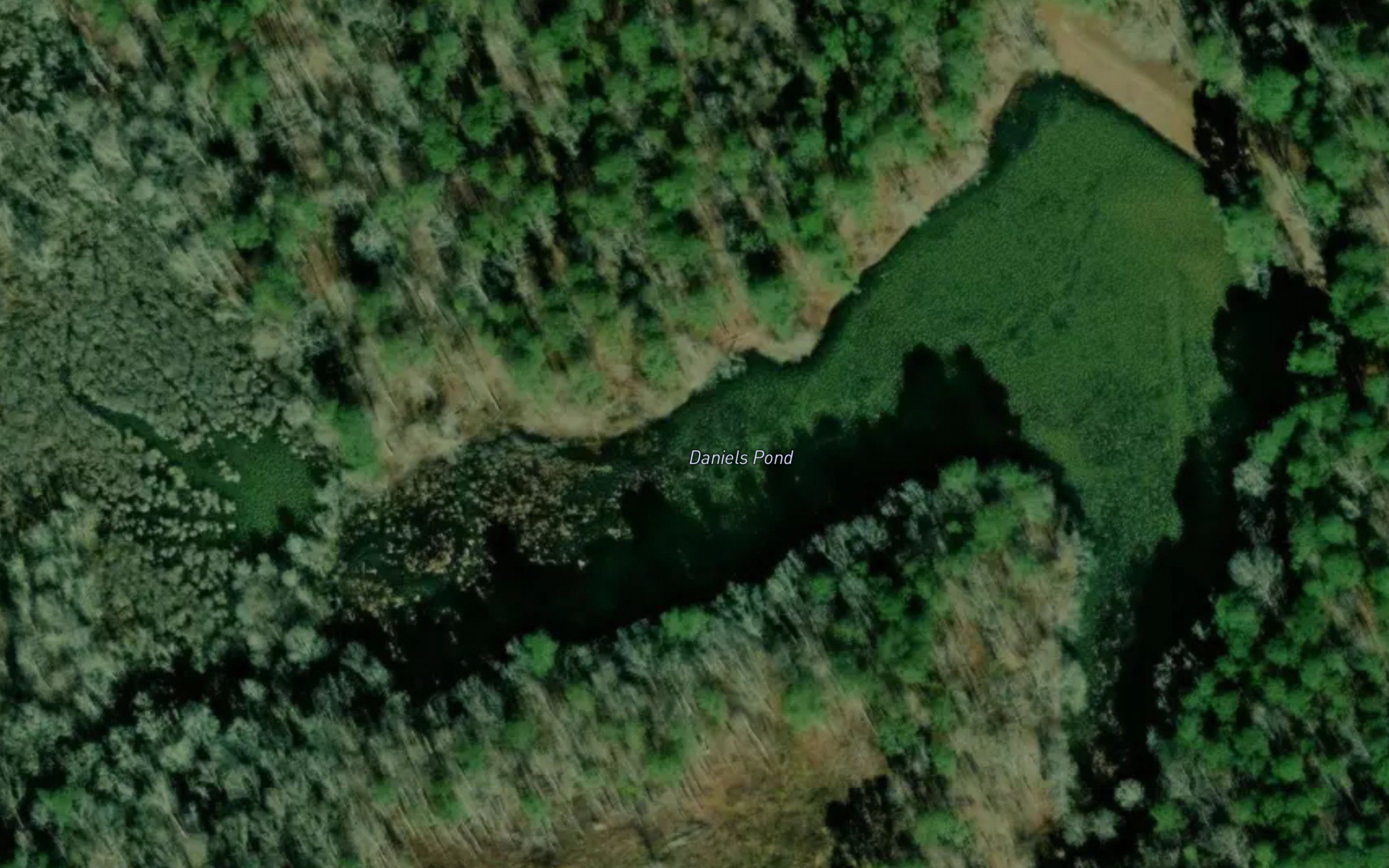Daniels Pond