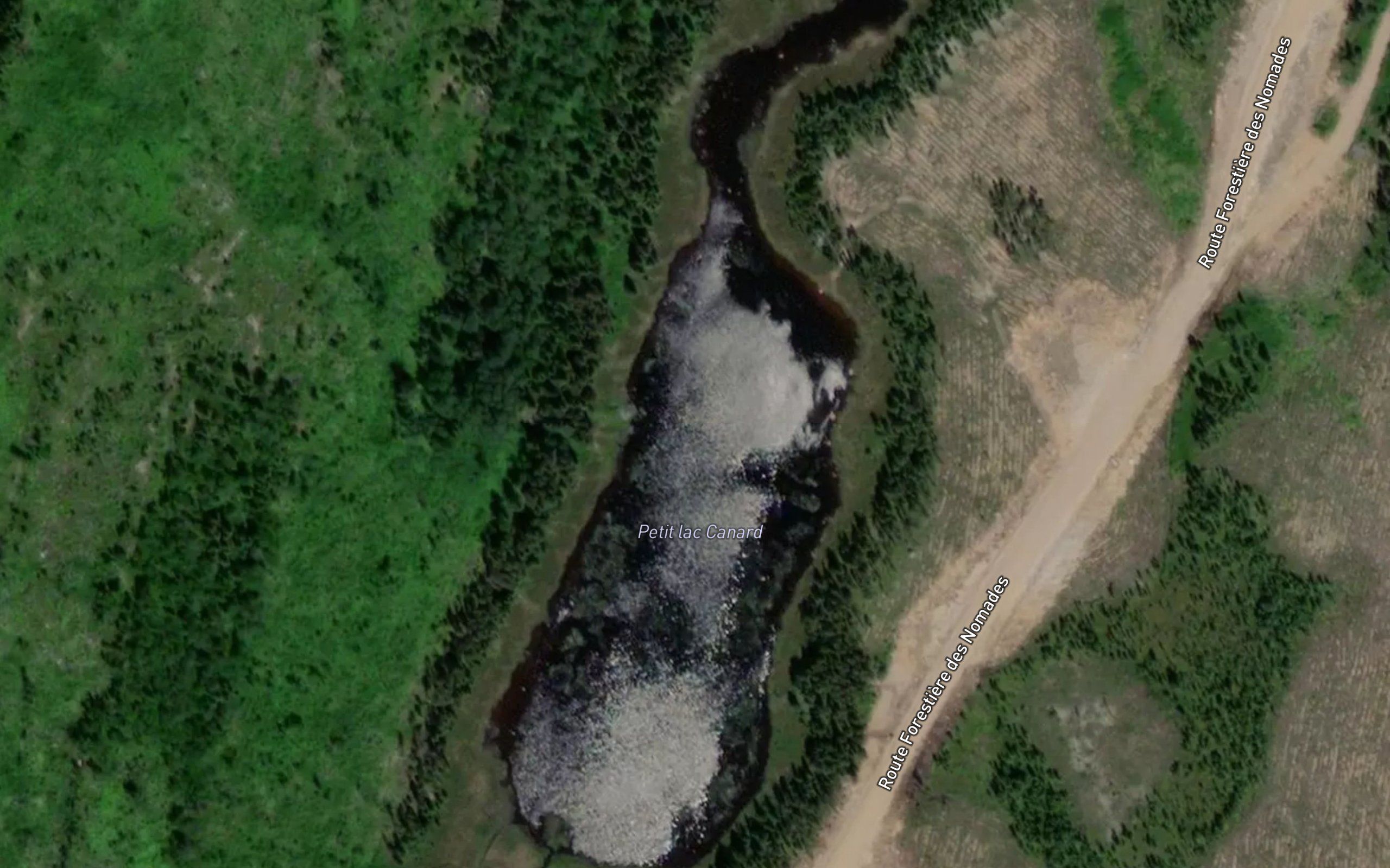Petit lac Canard