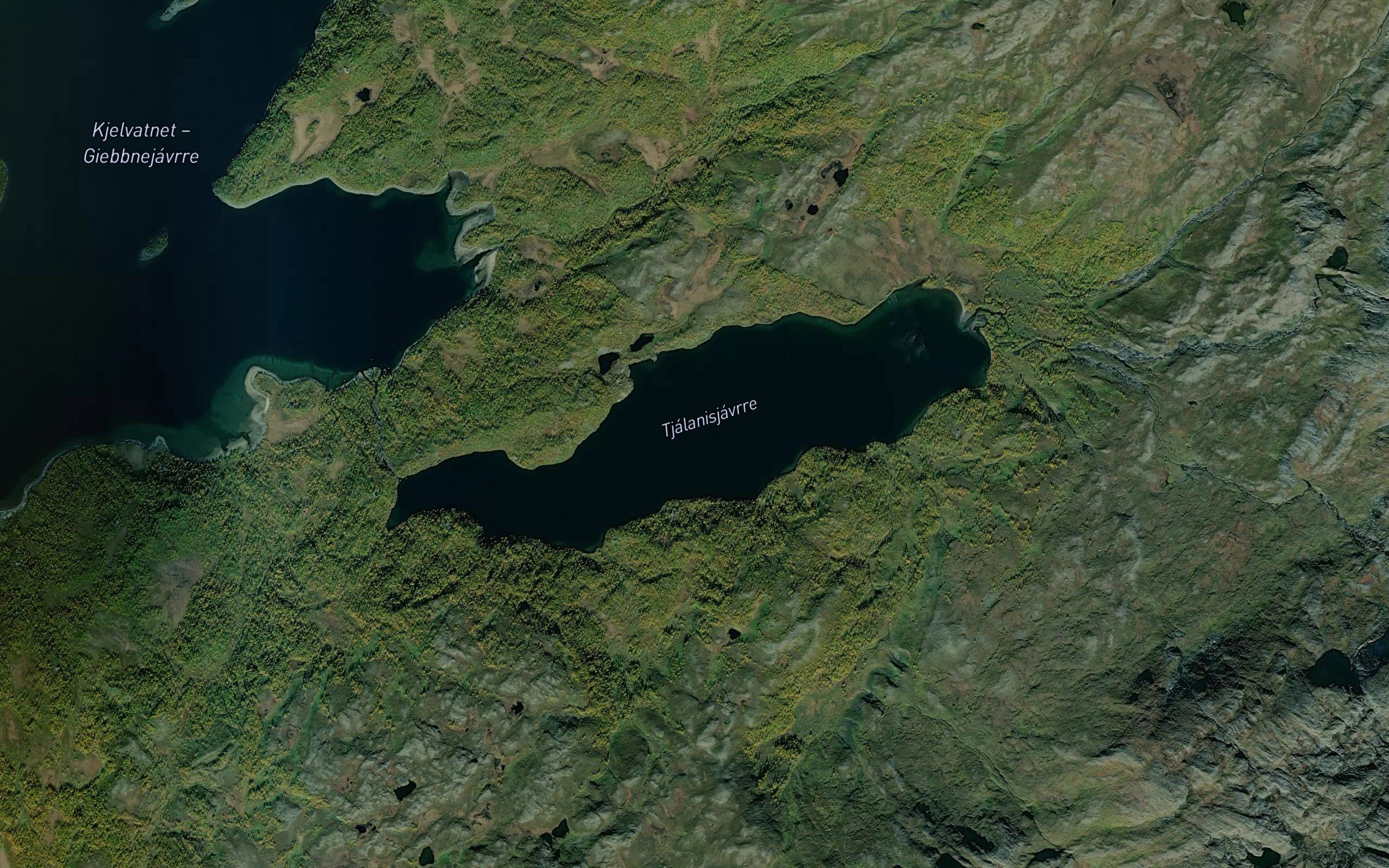 Tjalanisjavrre