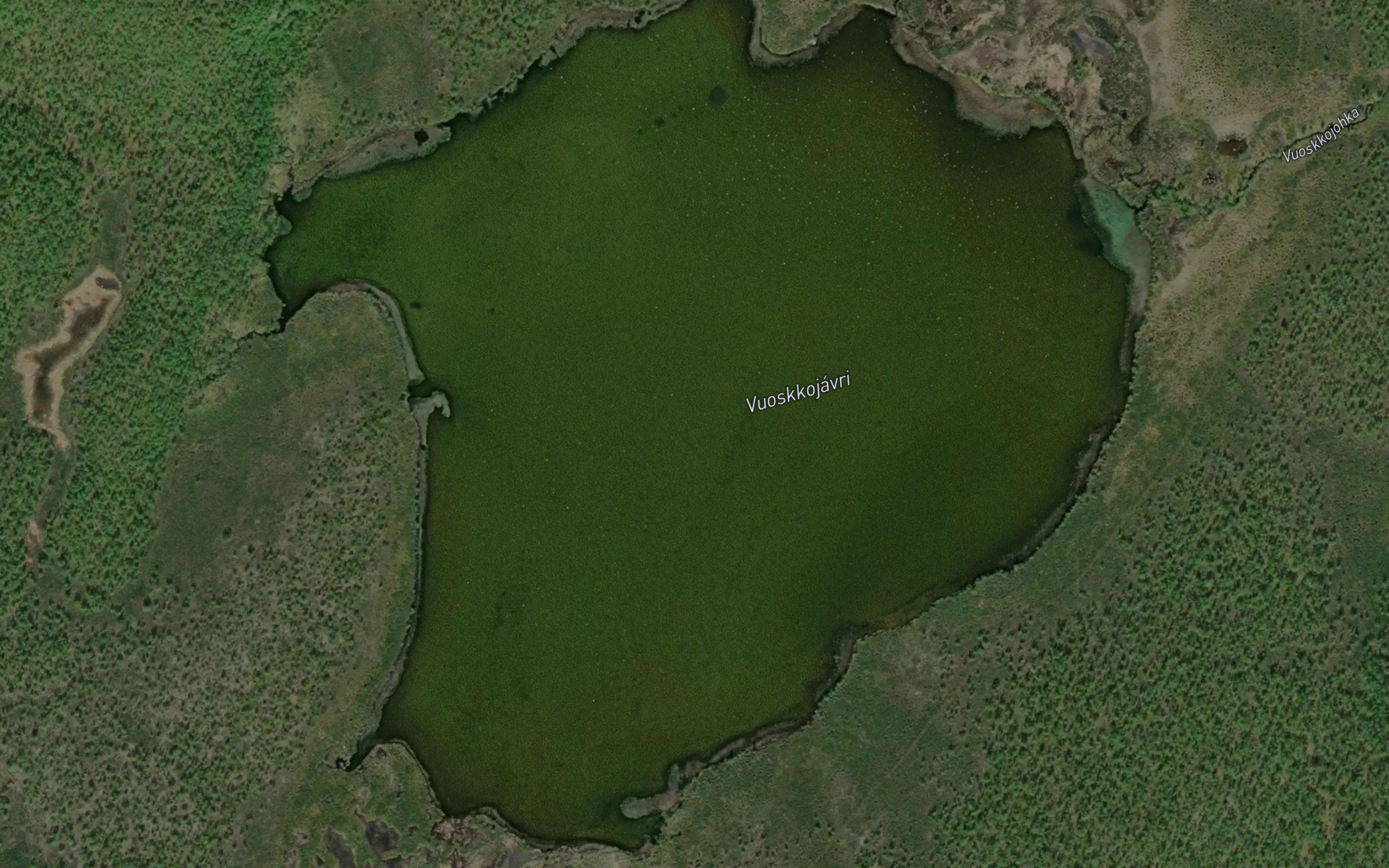 Vuoskujavri