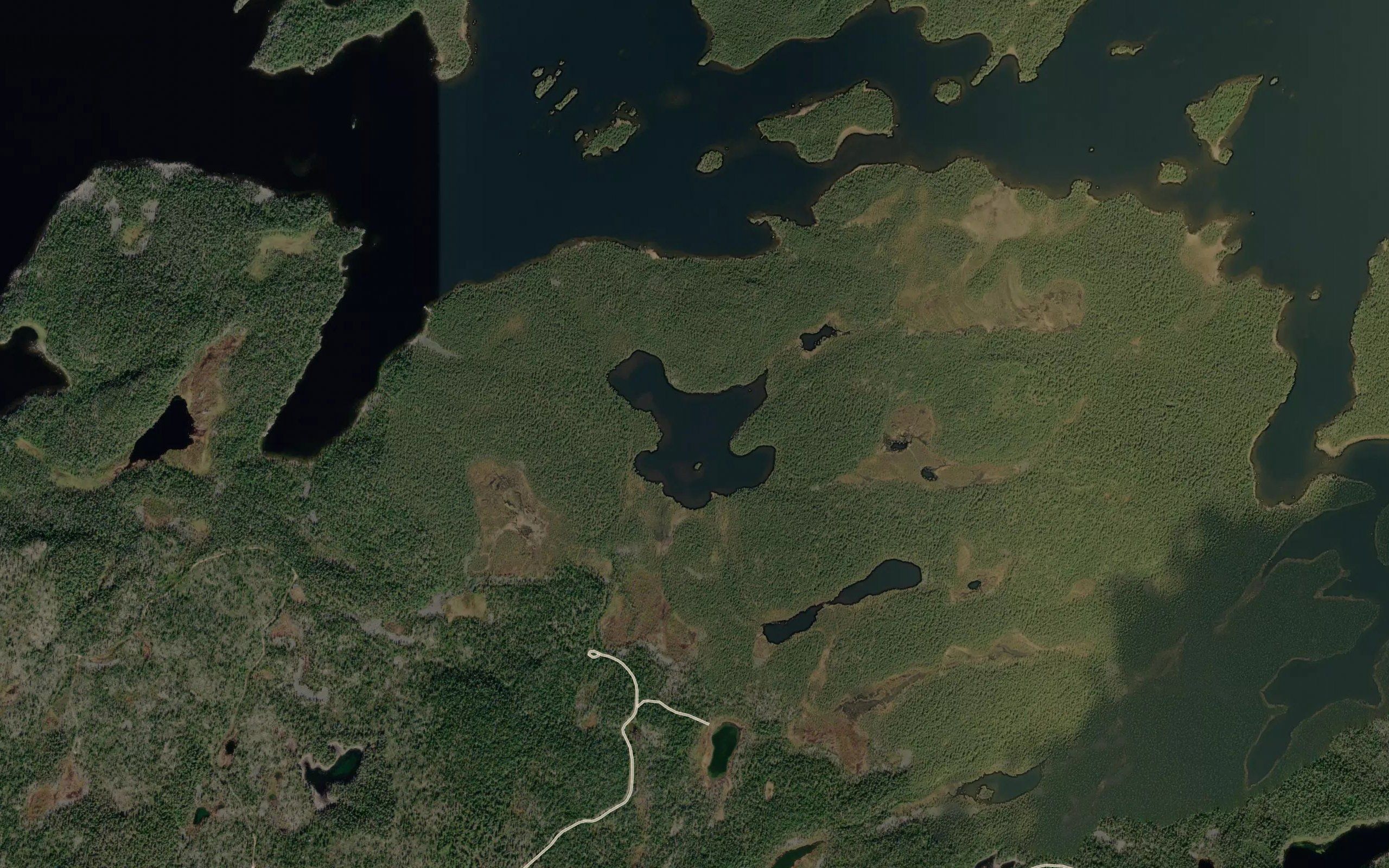 Njahijavri