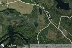 Kalatonlampi