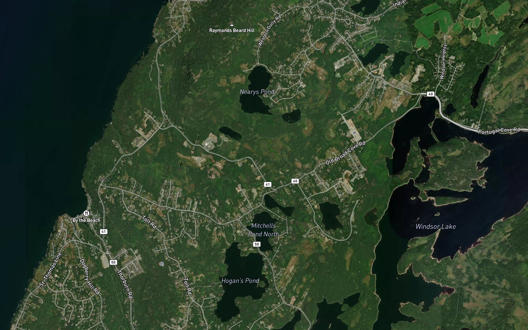 Satellite map of the Beachy Cove Ponds