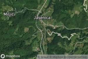 Jasenica