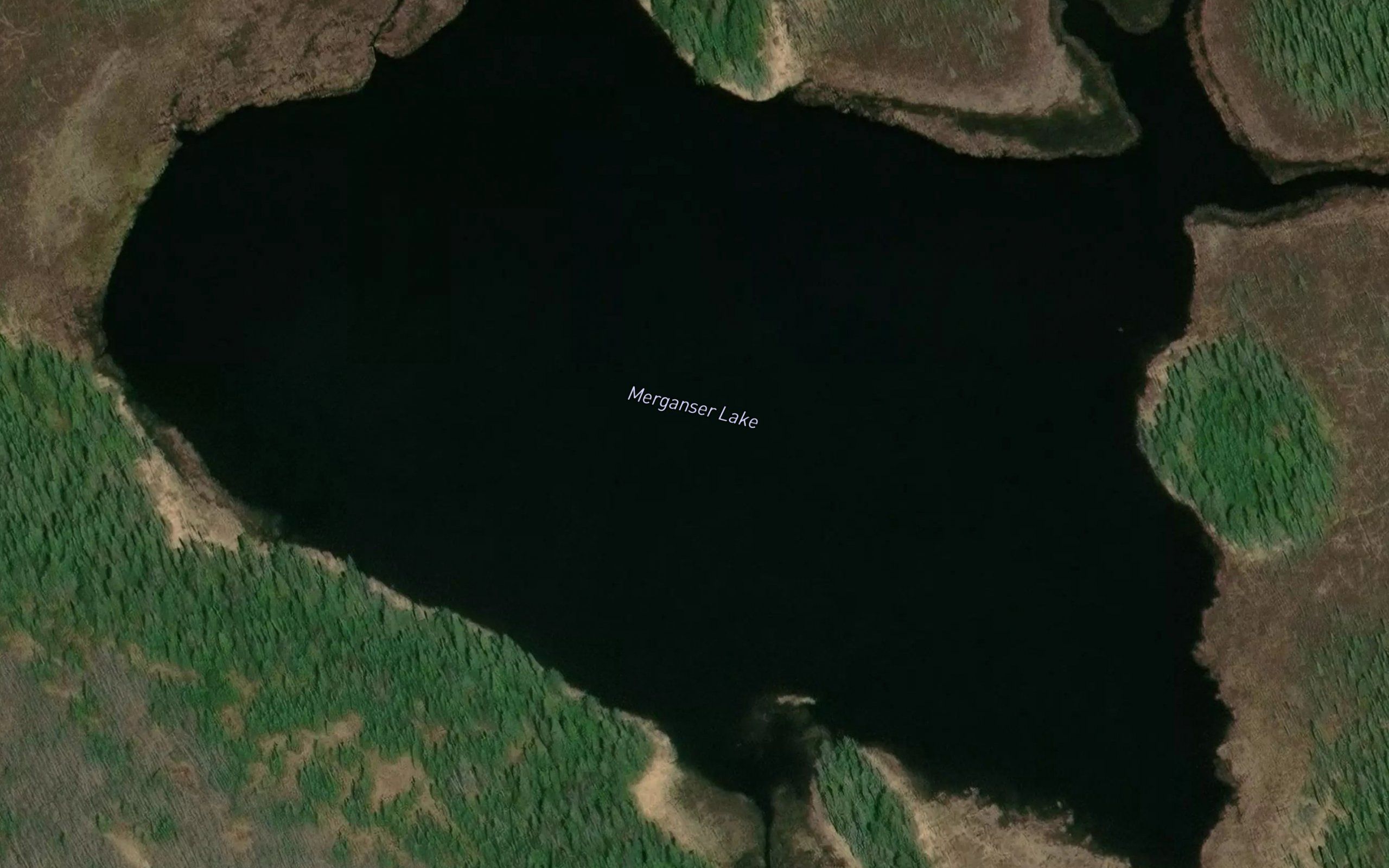 Merganser Lake