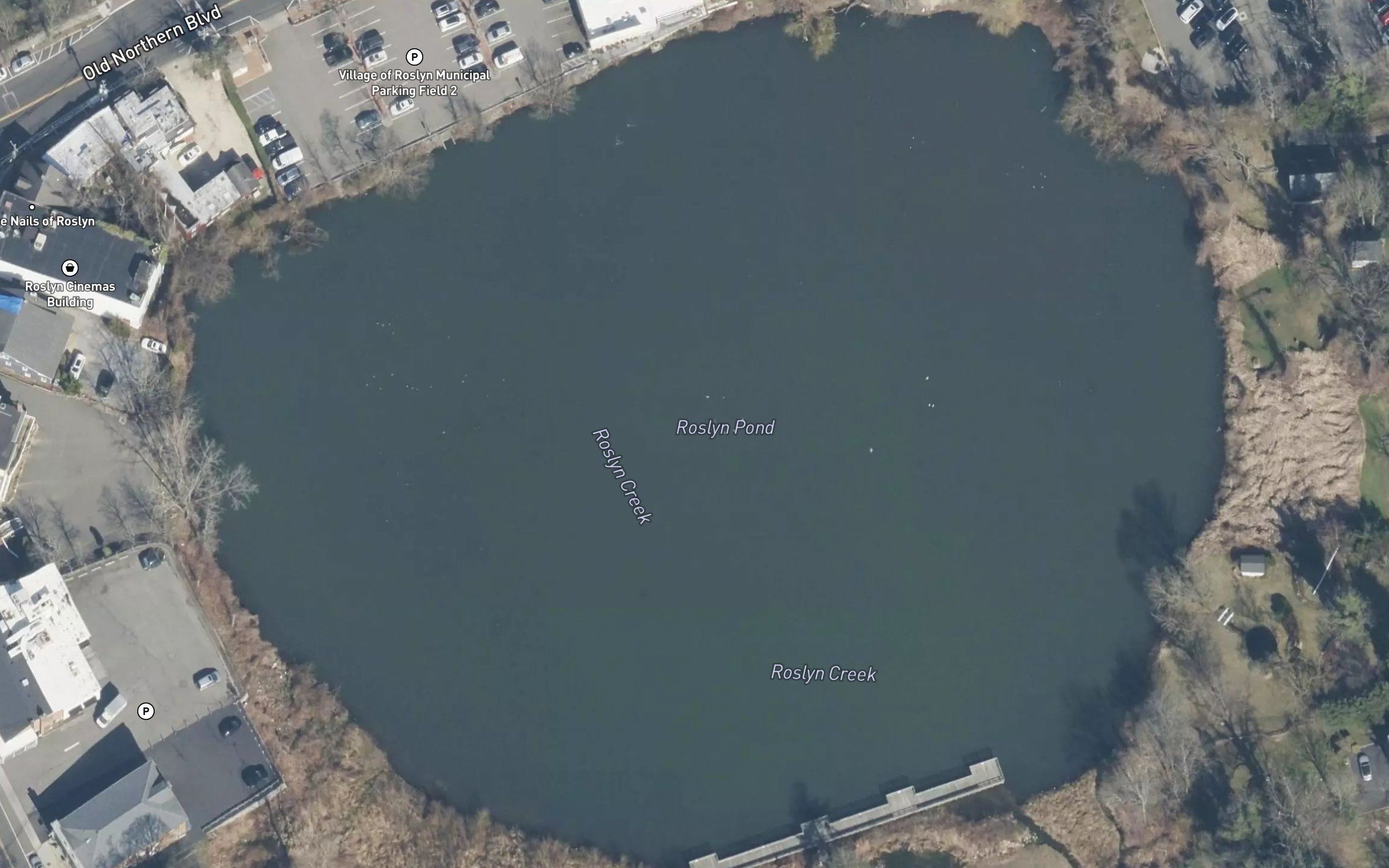 Roslyn Pond