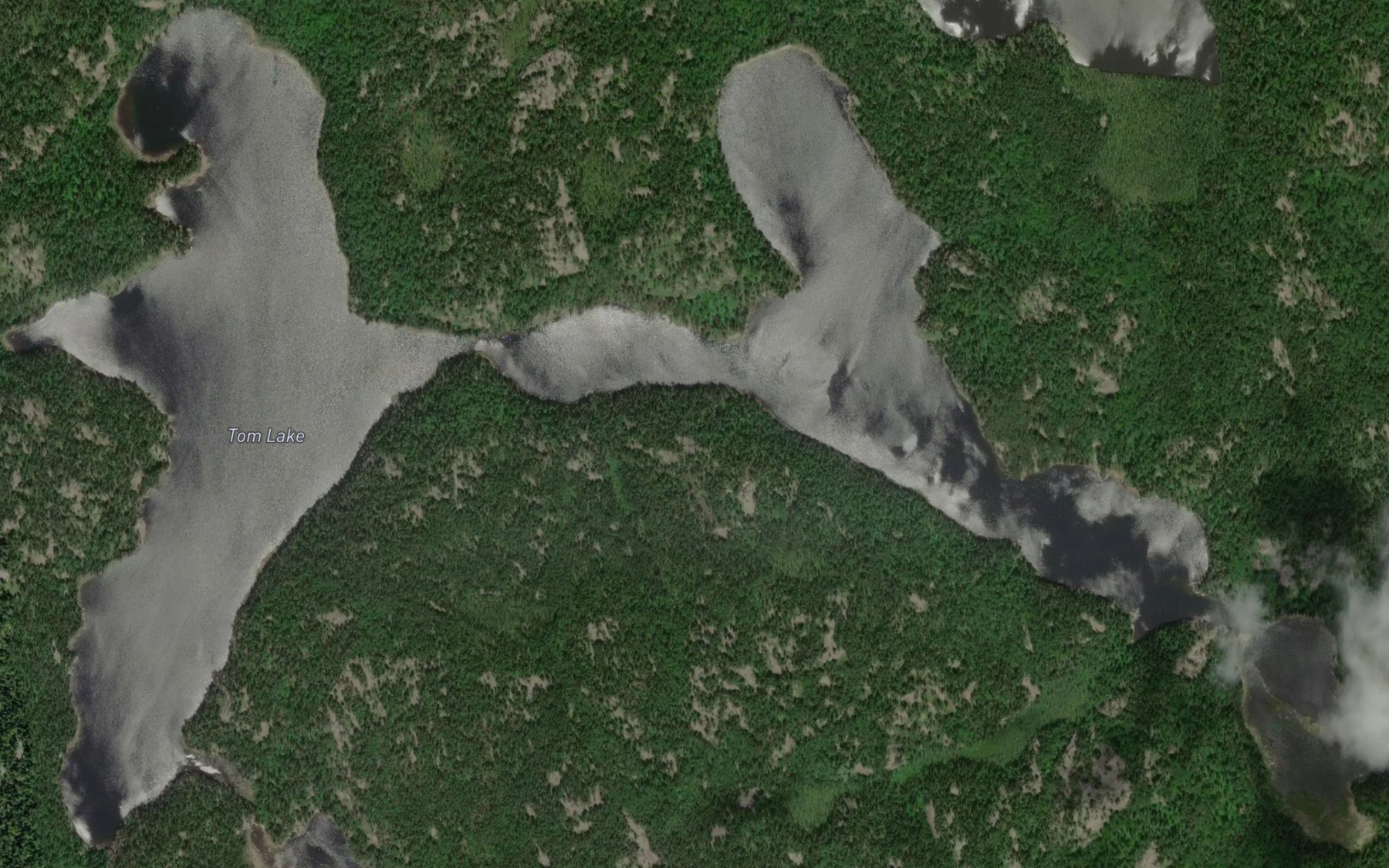 Satellite map of the Tom Lake
