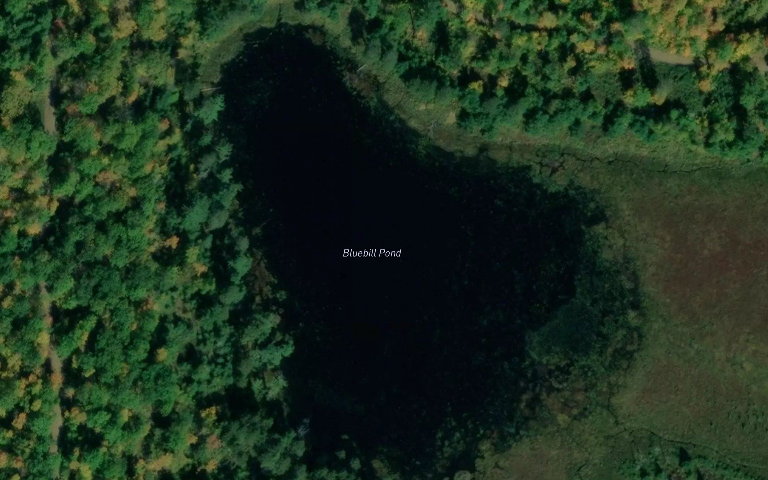 Bluebill Pond