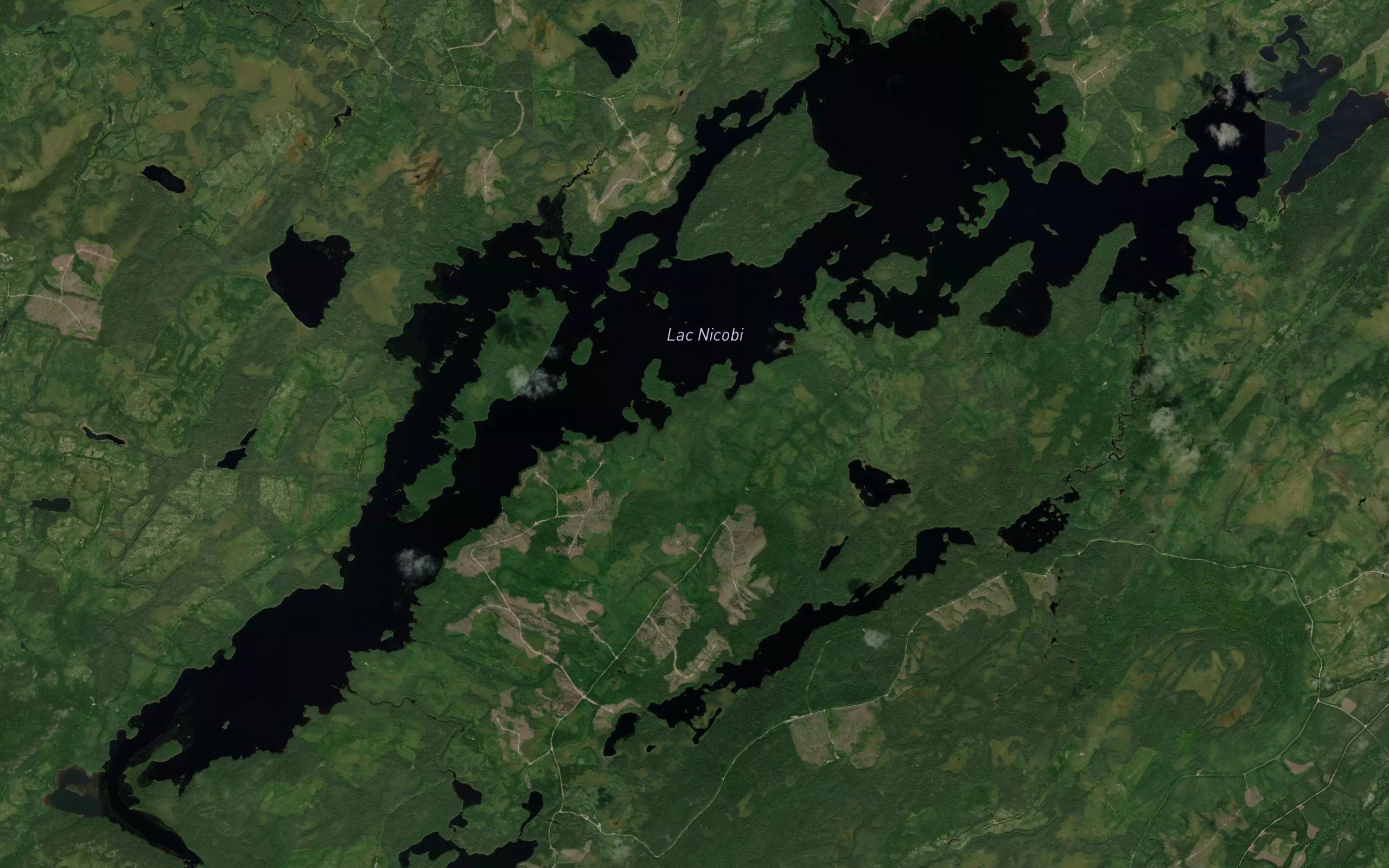 Lac Nicobi