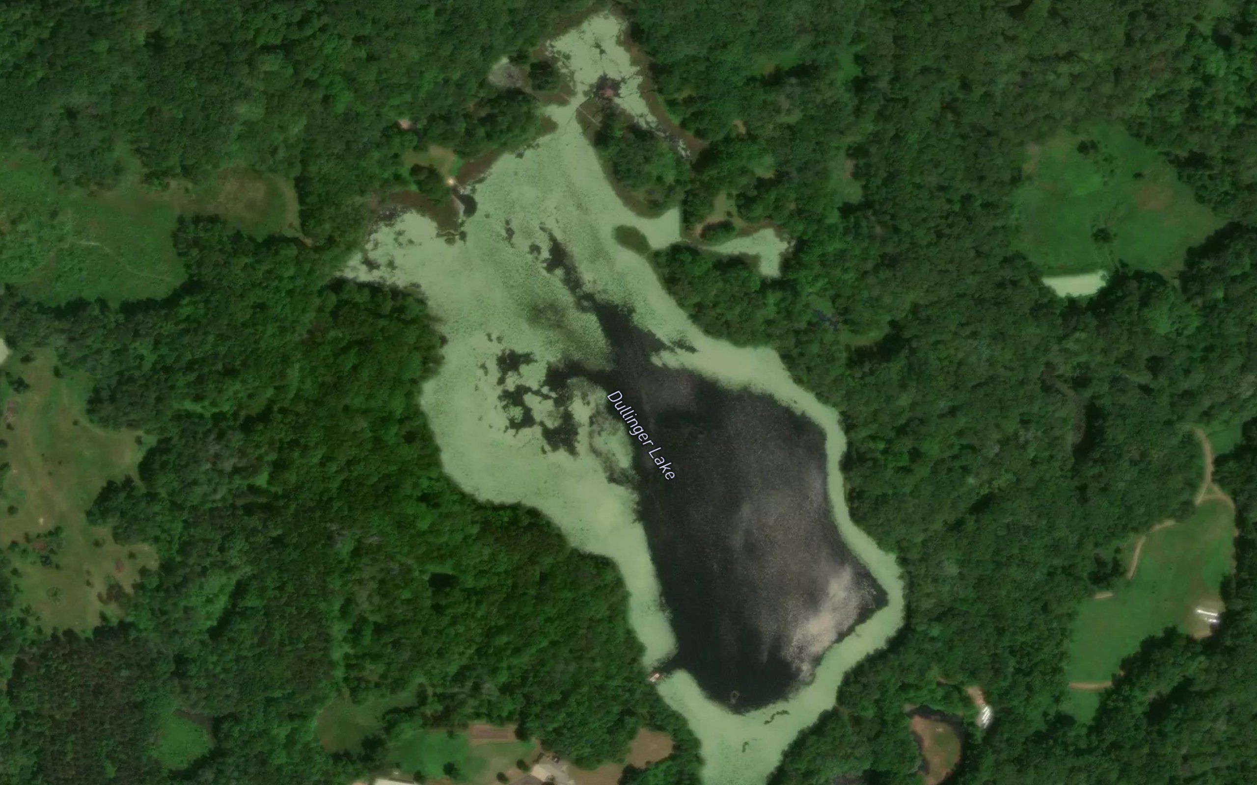 Dullinger Lake
