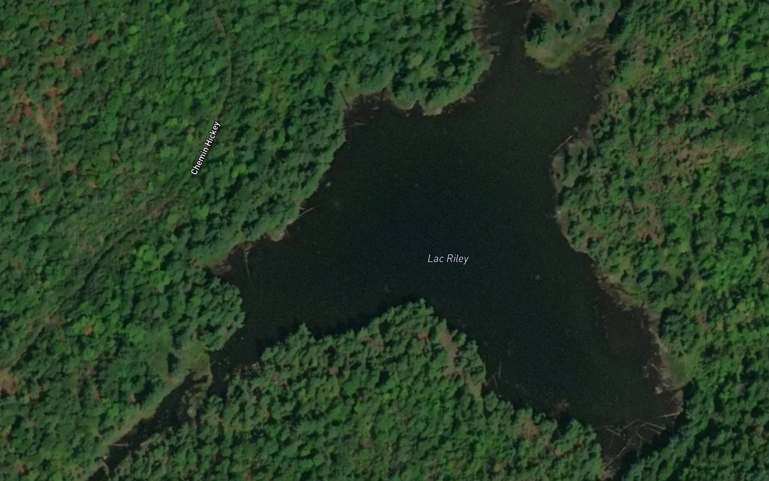 Lac Riley