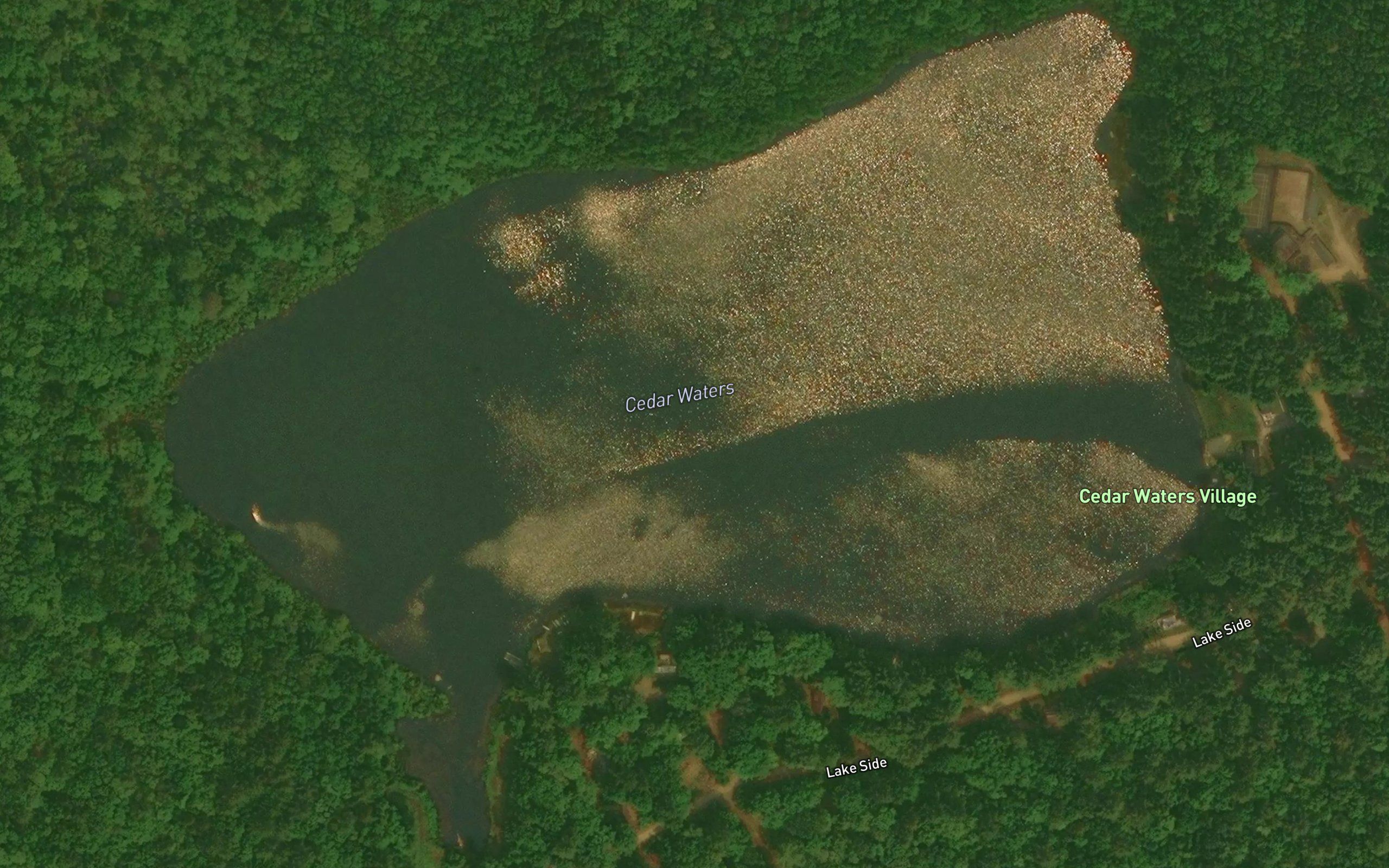 Cedar Waters