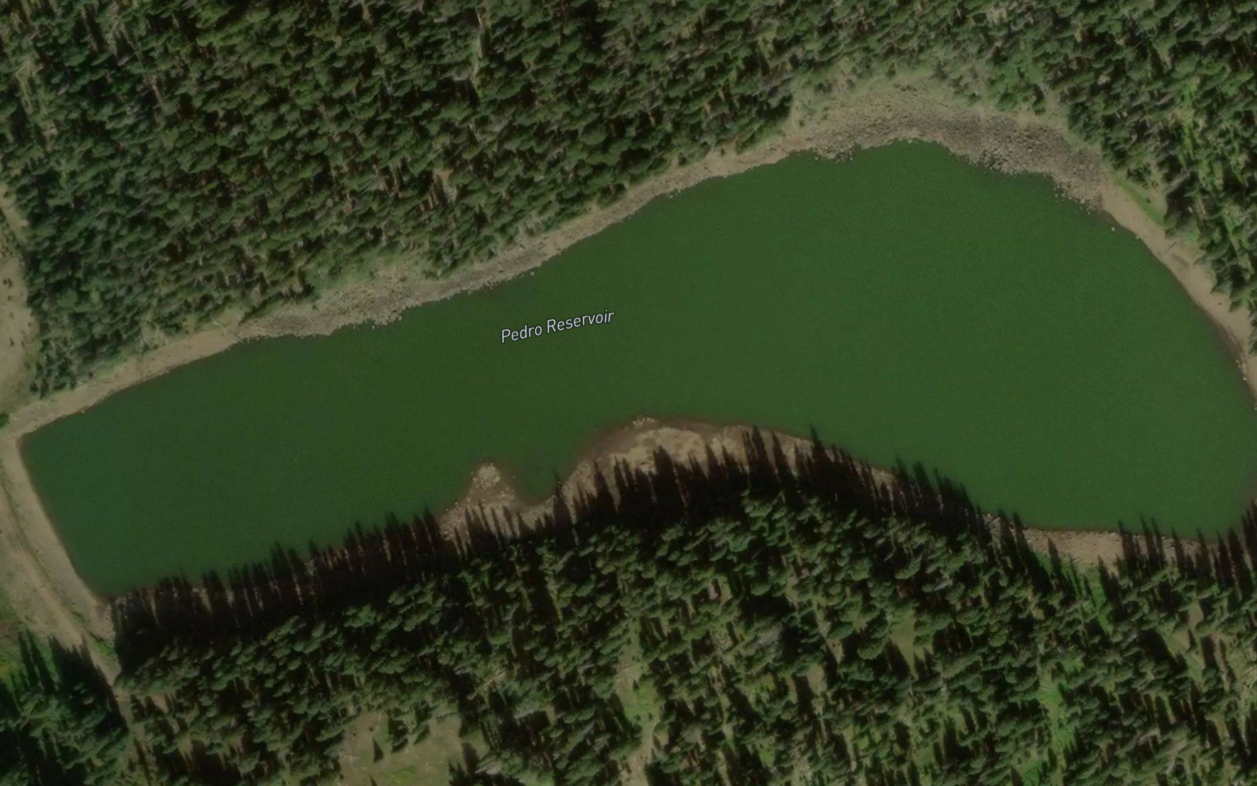Pedro Reservoir
