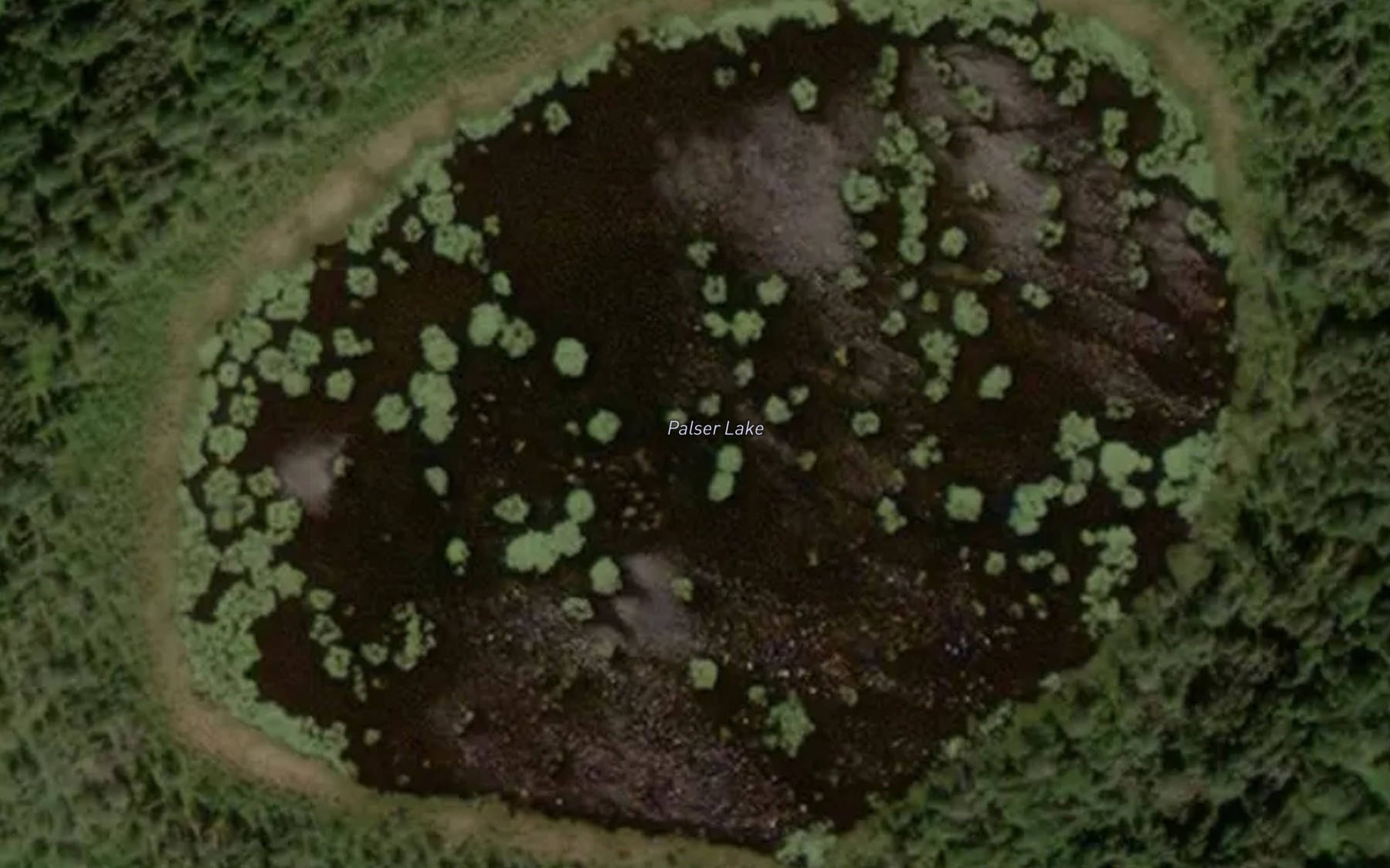 Satellite map of the Palser Lake