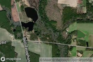 Old Field Branch