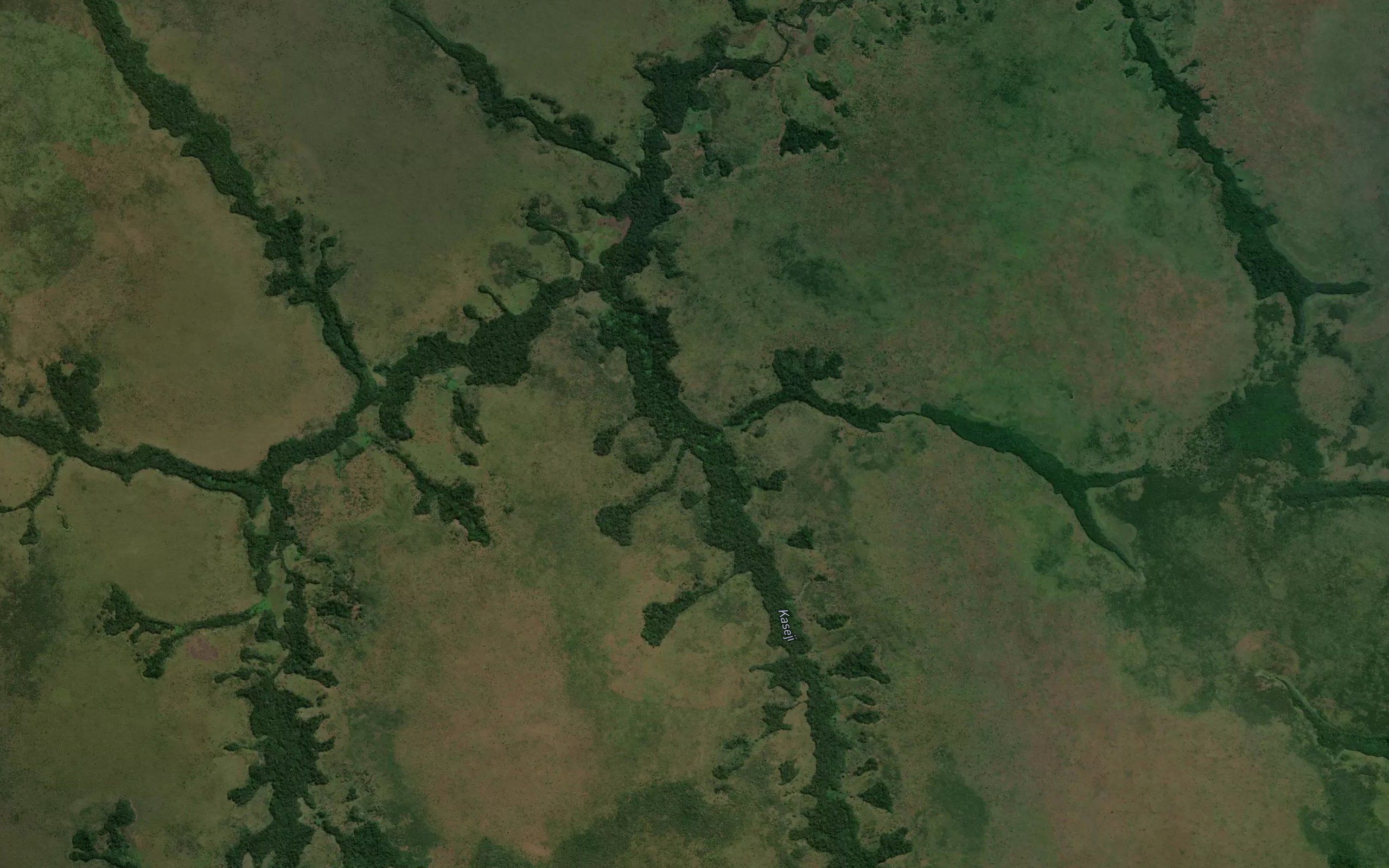 Kapima