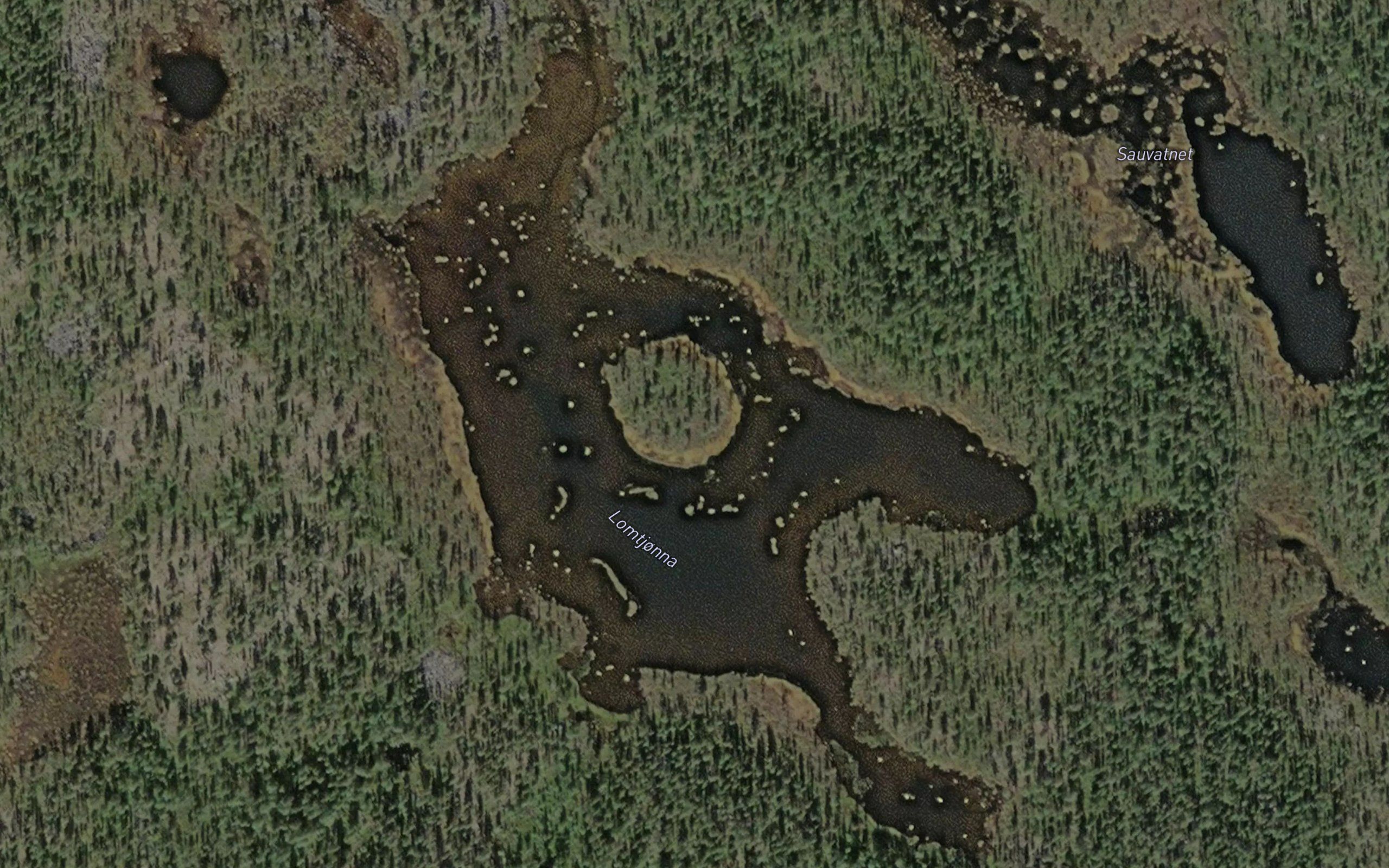 Lomtjonna