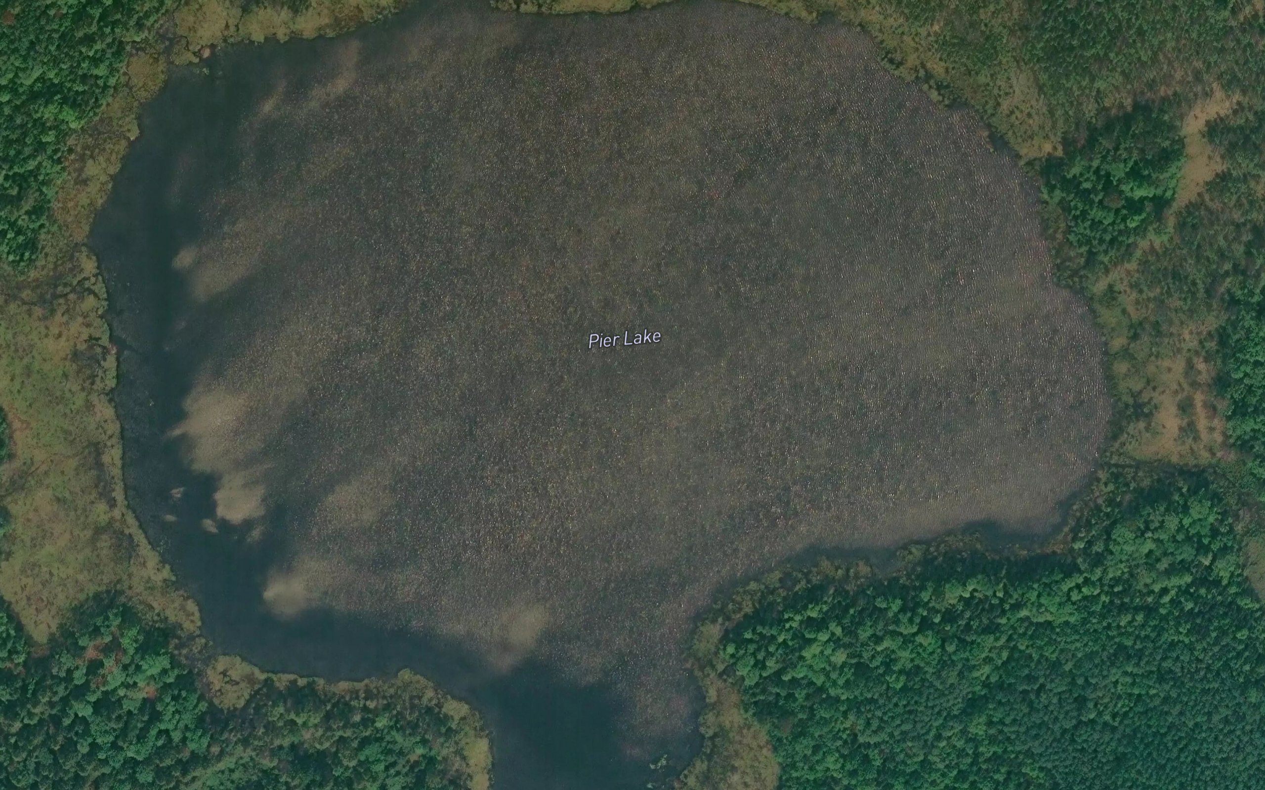 Pier Lake