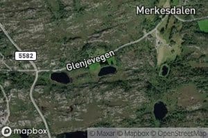 Tjorntjorna