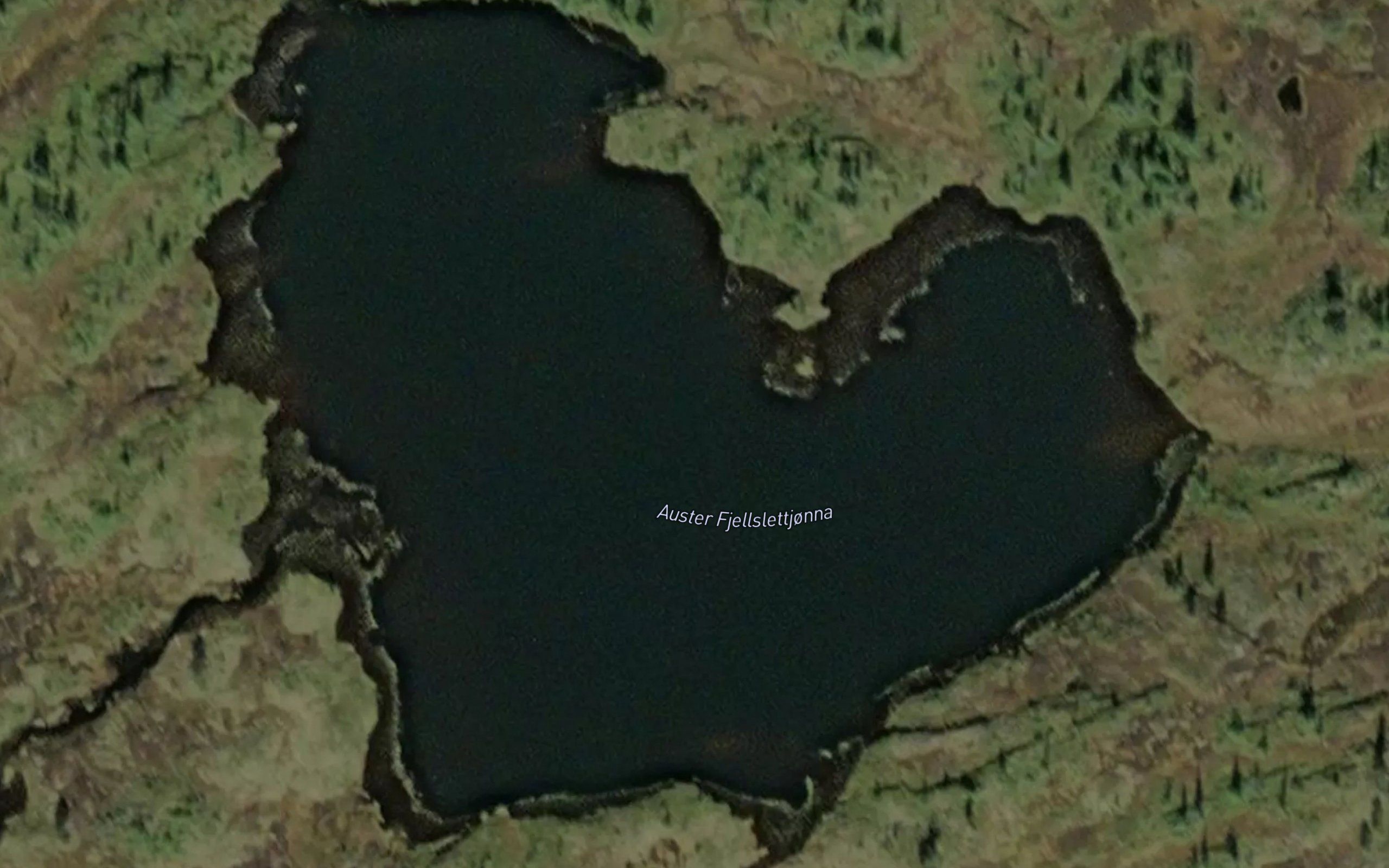 Auster Fjellslettjonna